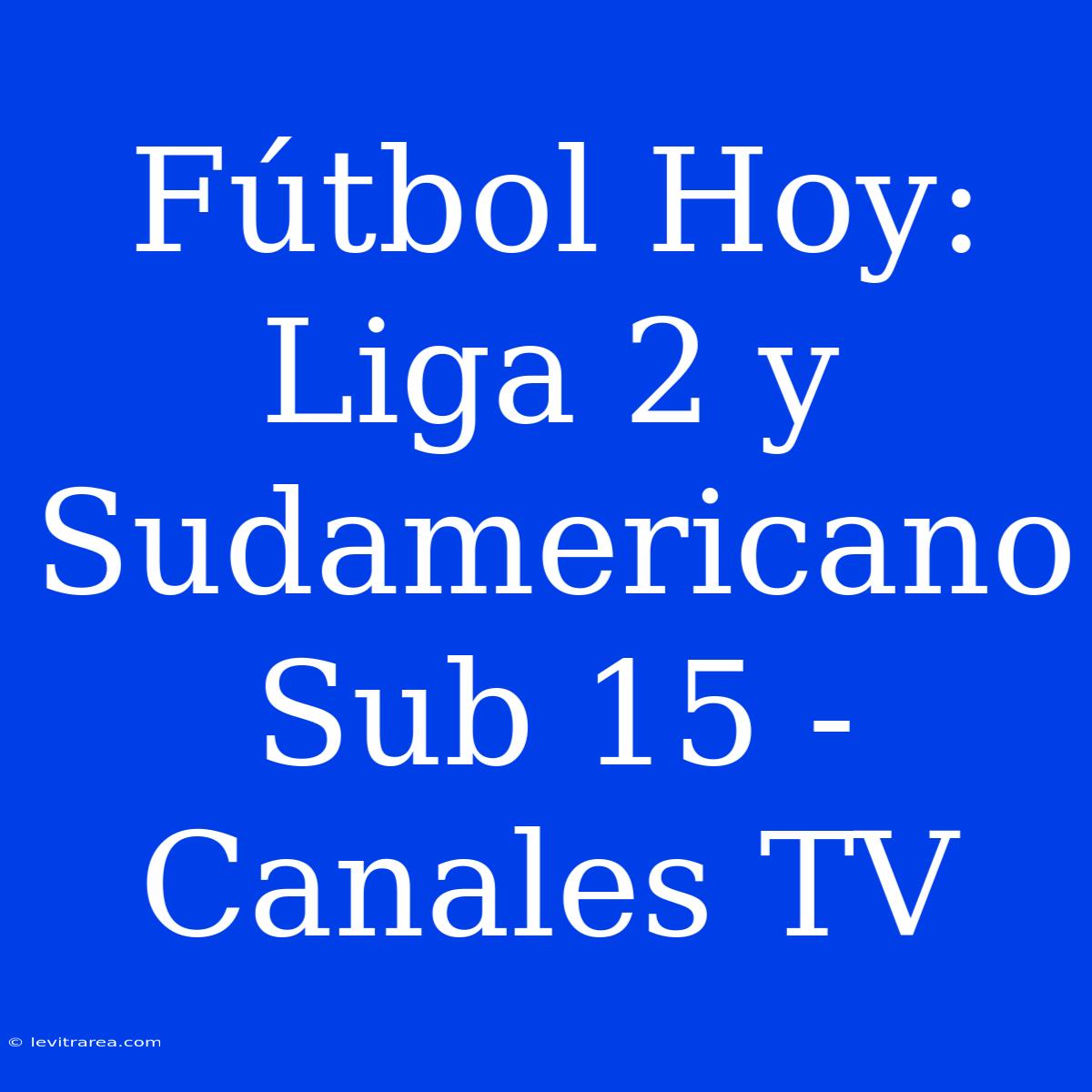 Fútbol Hoy: Liga 2 Y Sudamericano Sub 15 - Canales TV