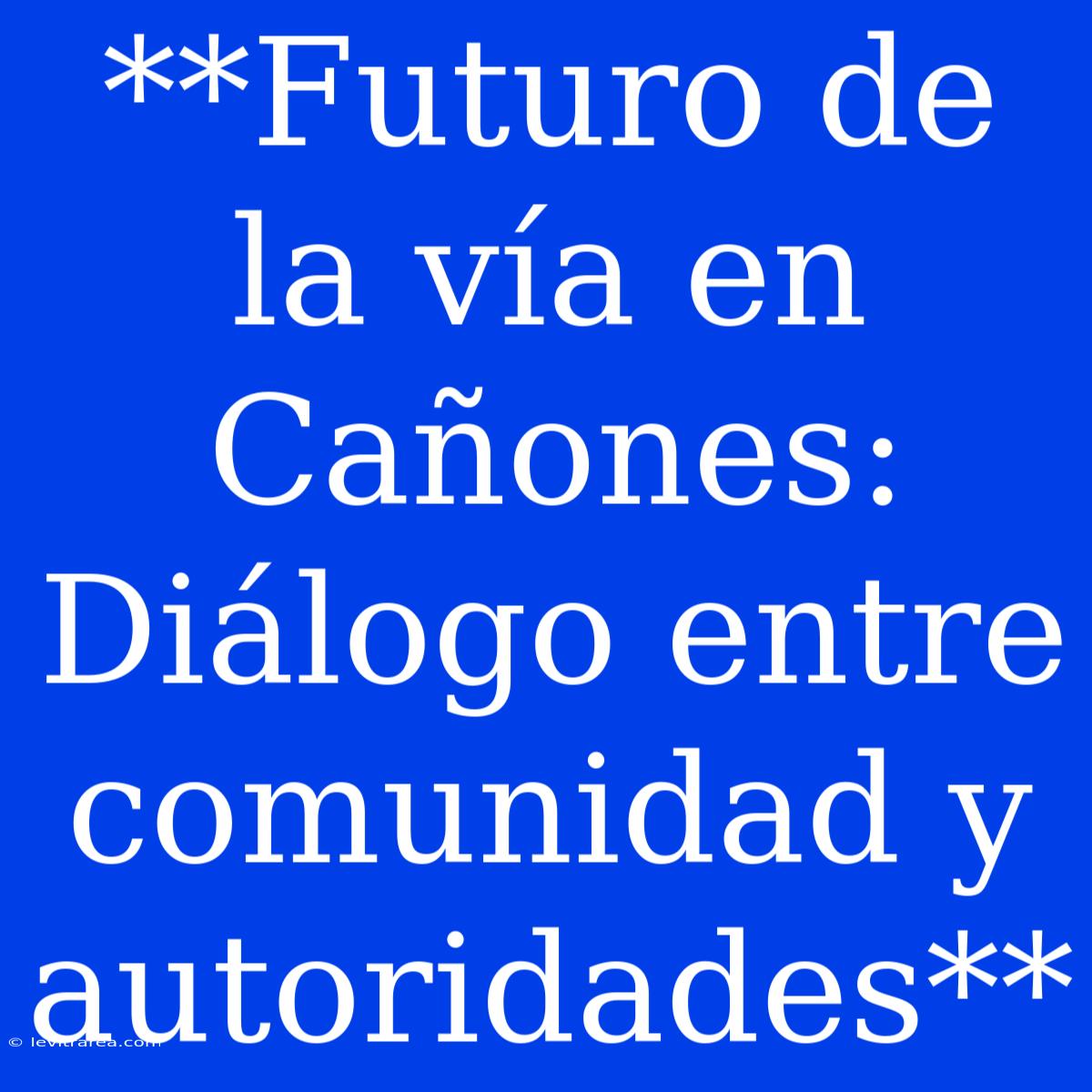 **Futuro De La Vía En Cañones: Diálogo Entre Comunidad Y Autoridades** 