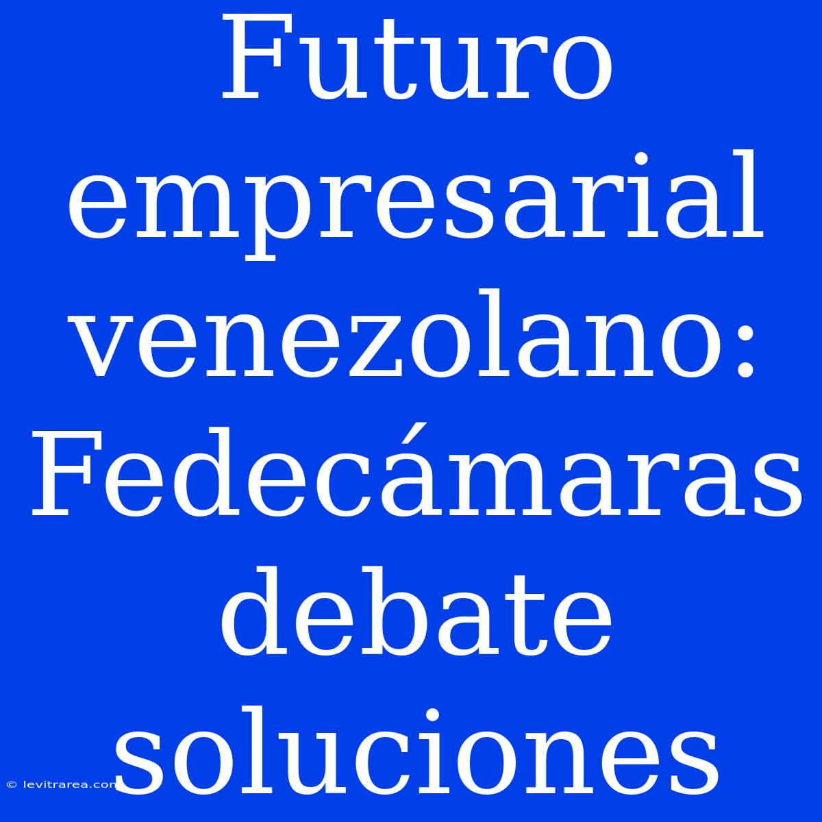 Futuro Empresarial Venezolano: Fedecámaras Debate Soluciones