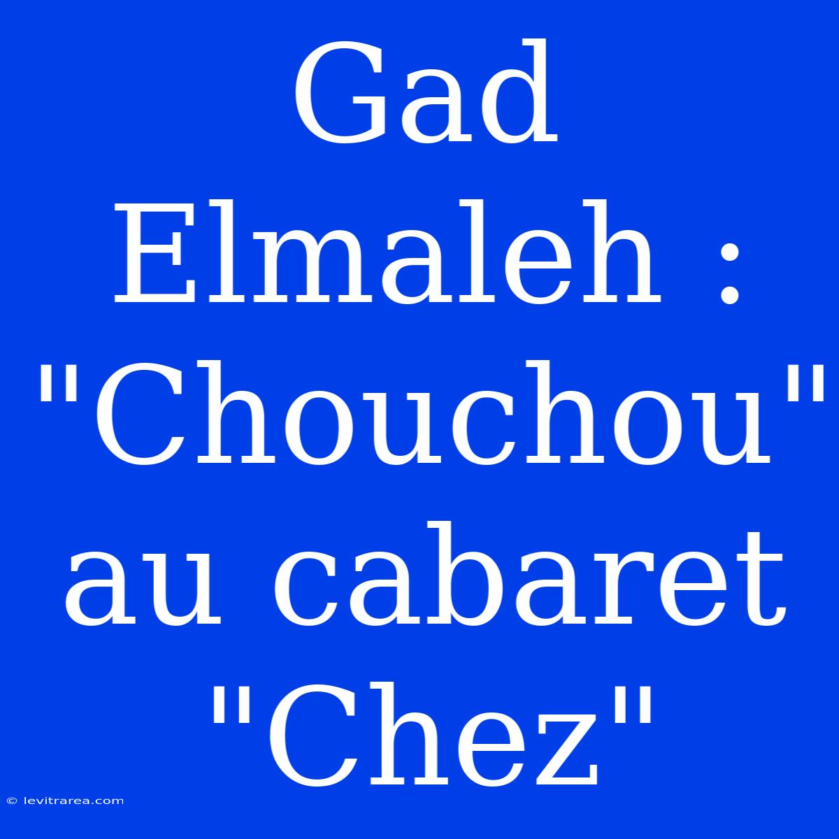 Gad Elmaleh : 