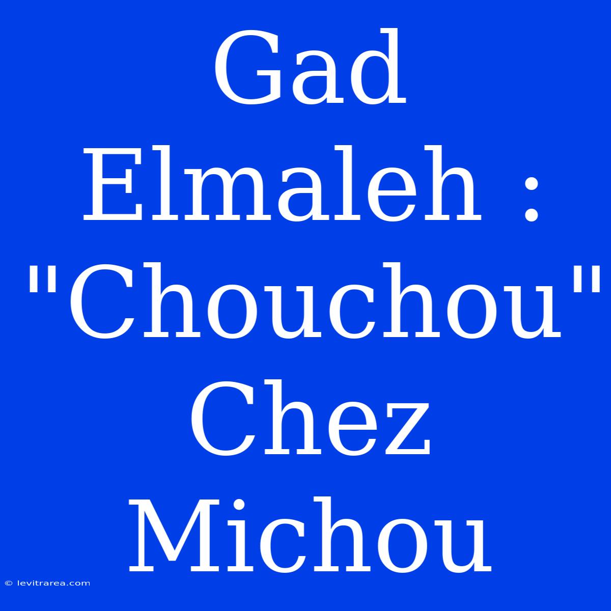 Gad Elmaleh : 