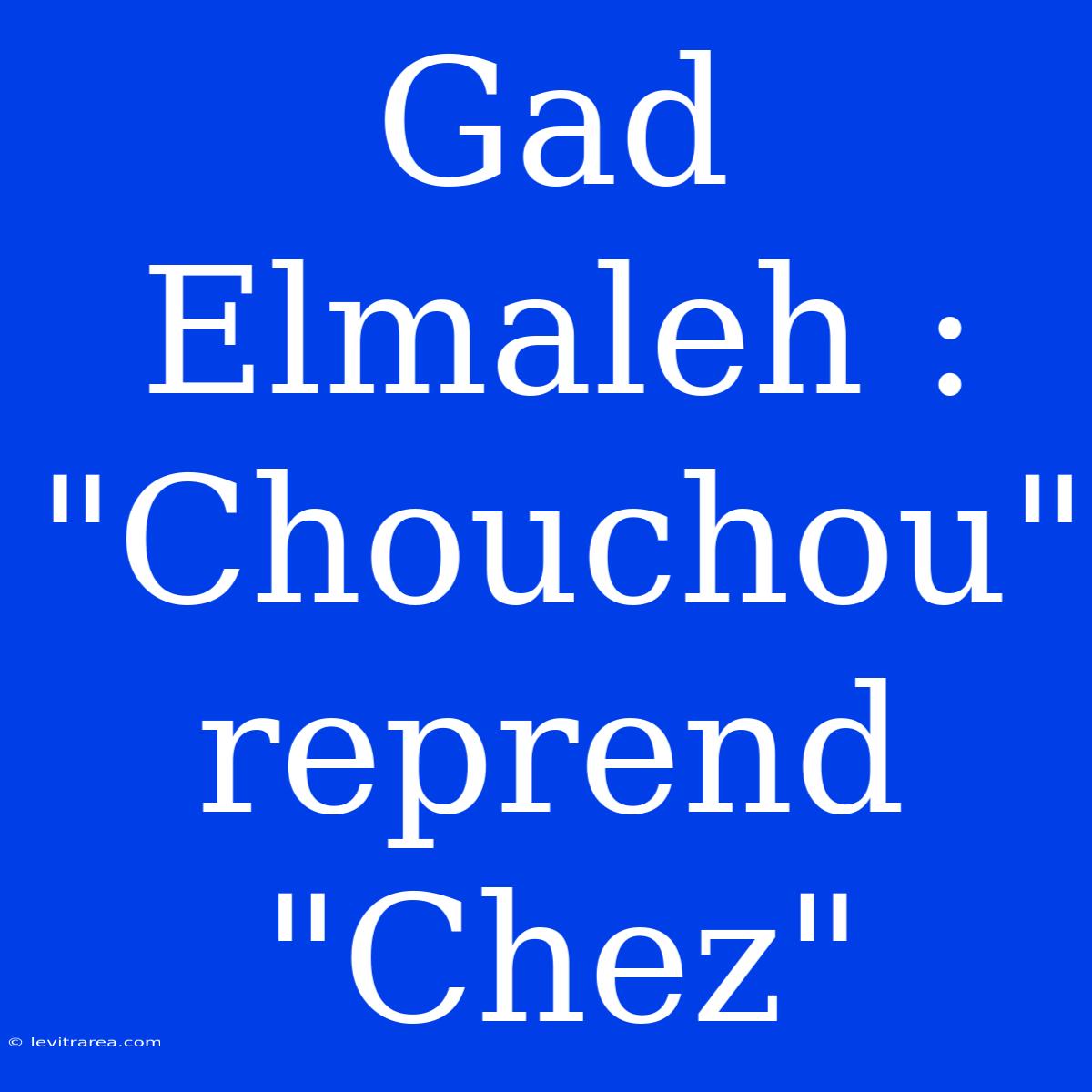 Gad Elmaleh : 