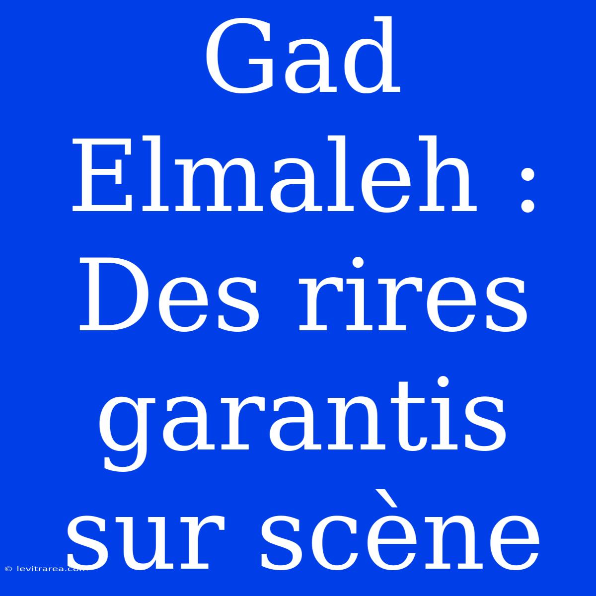 Gad Elmaleh : Des Rires Garantis Sur Scène 