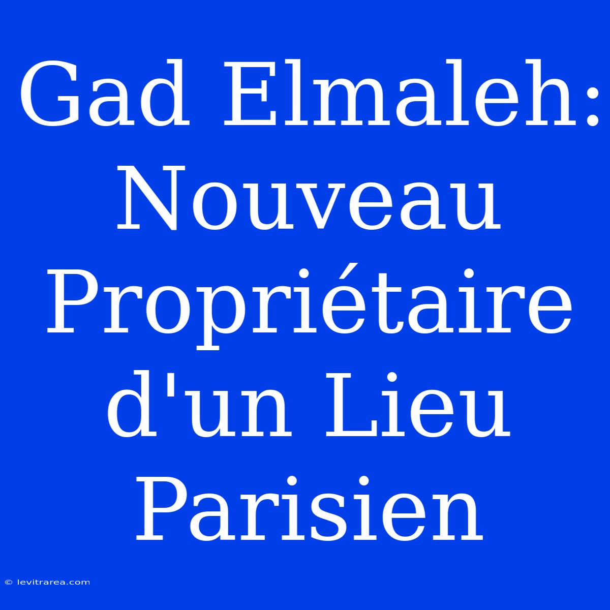 Gad Elmaleh: Nouveau Propriétaire D'un Lieu Parisien