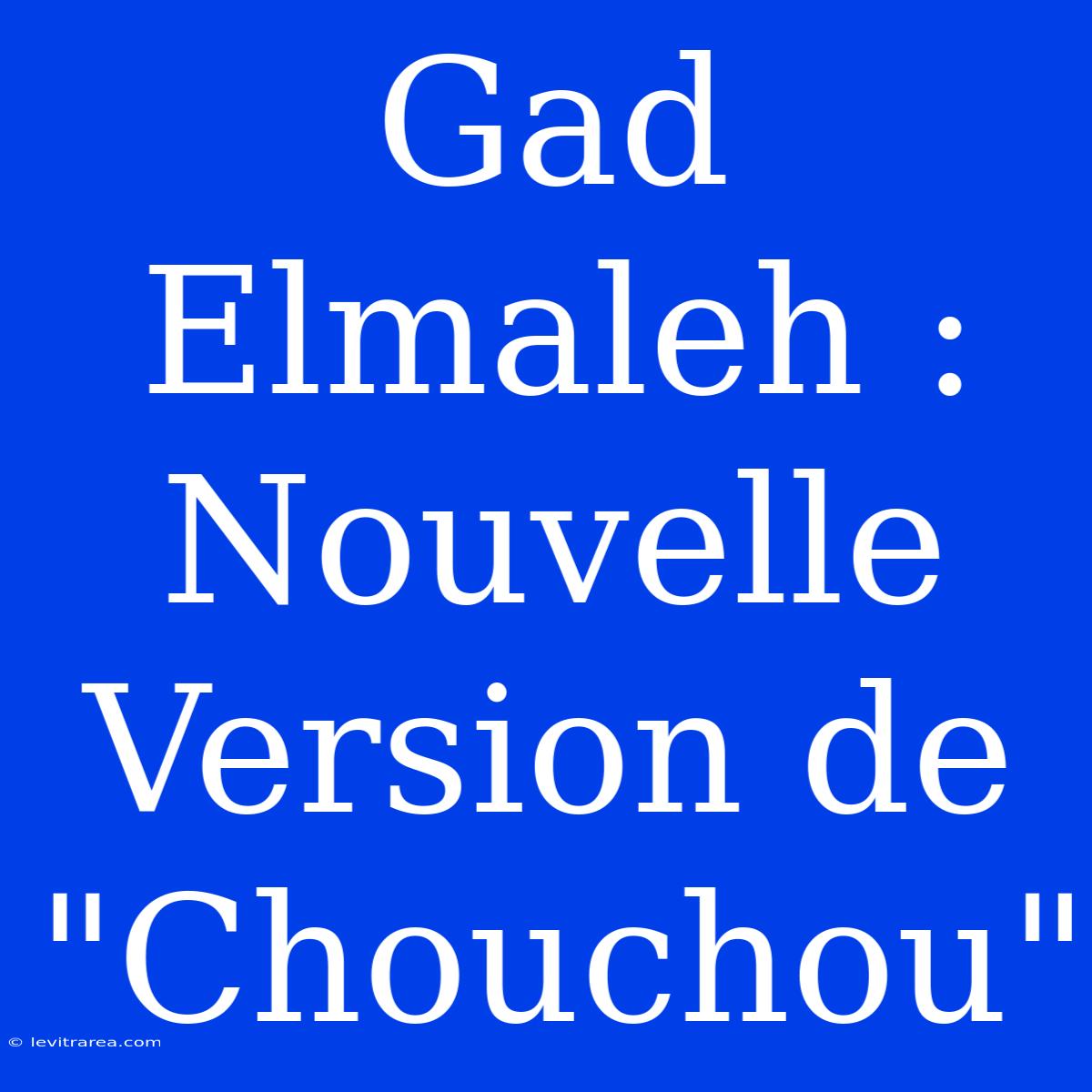 Gad Elmaleh : Nouvelle Version De 