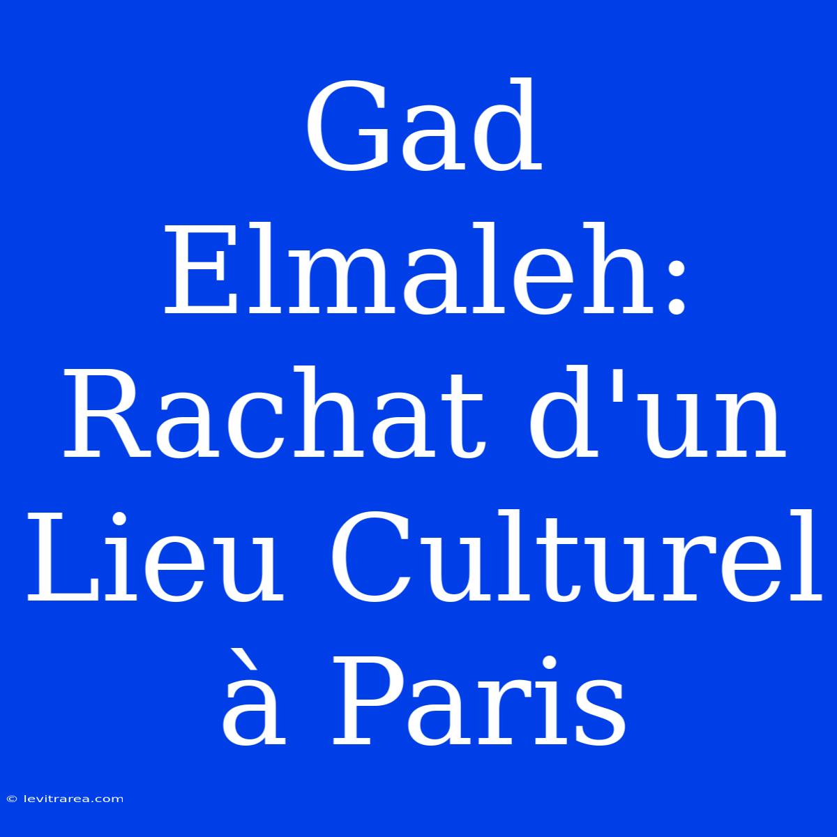 Gad Elmaleh: Rachat D'un Lieu Culturel À Paris