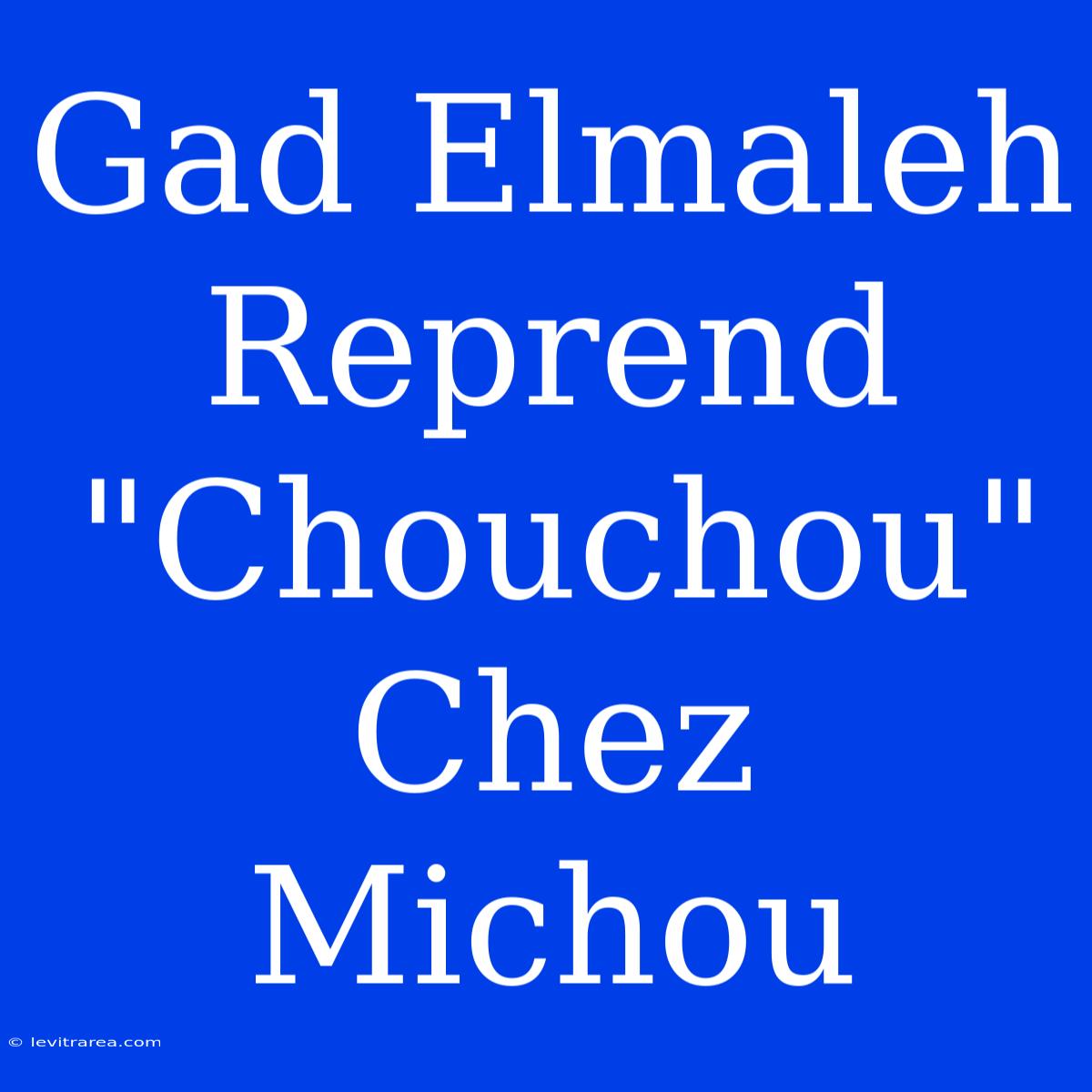 Gad Elmaleh Reprend 