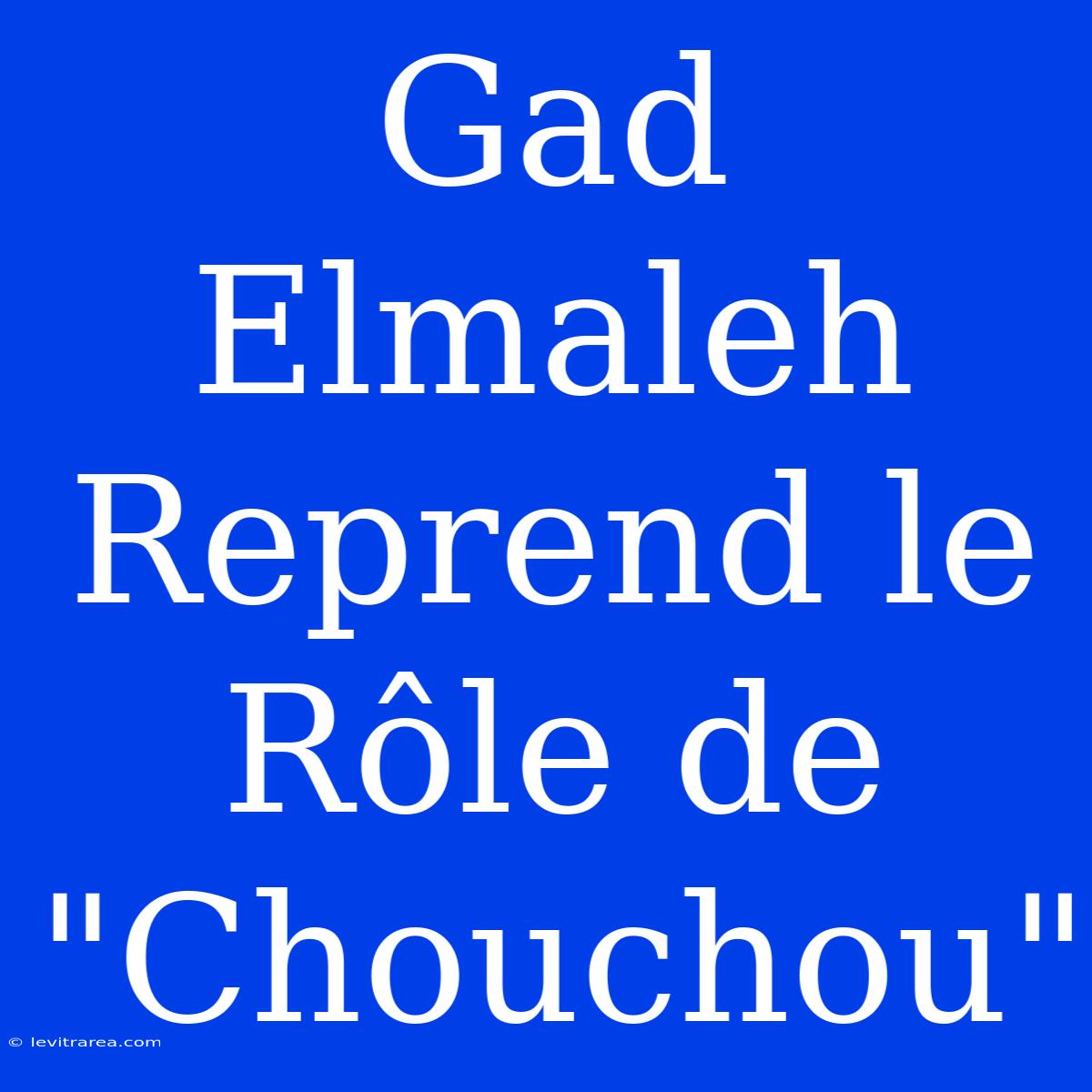 Gad Elmaleh Reprend Le Rôle De 