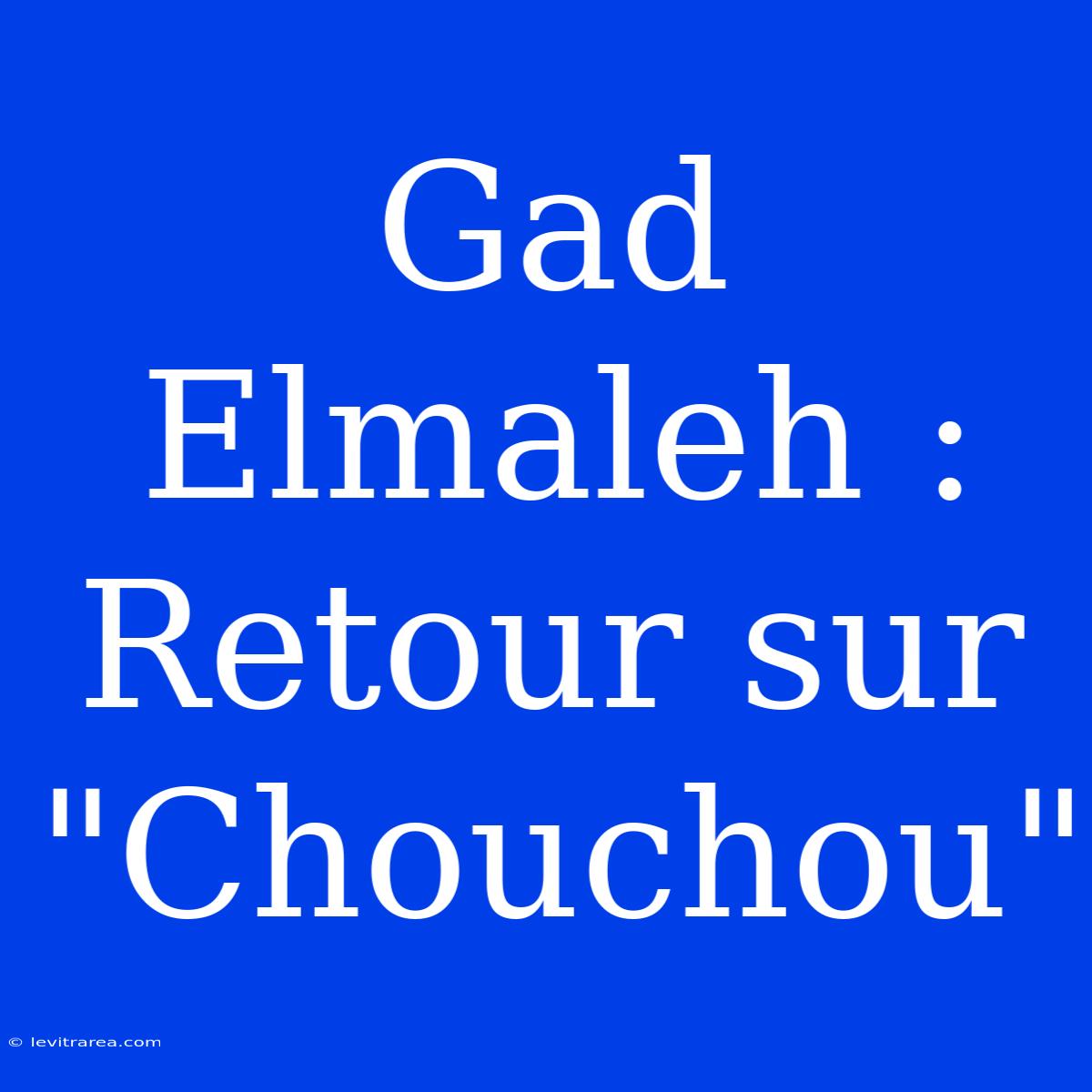 Gad Elmaleh : Retour Sur 