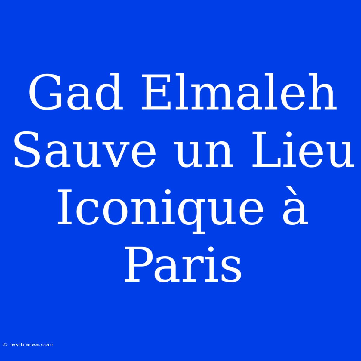 Gad Elmaleh Sauve Un Lieu Iconique À Paris