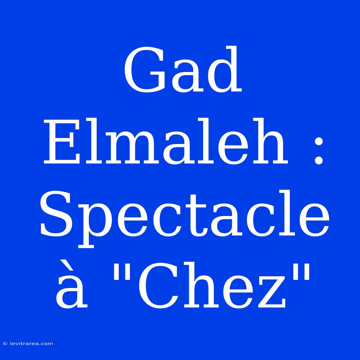 Gad Elmaleh : Spectacle À 