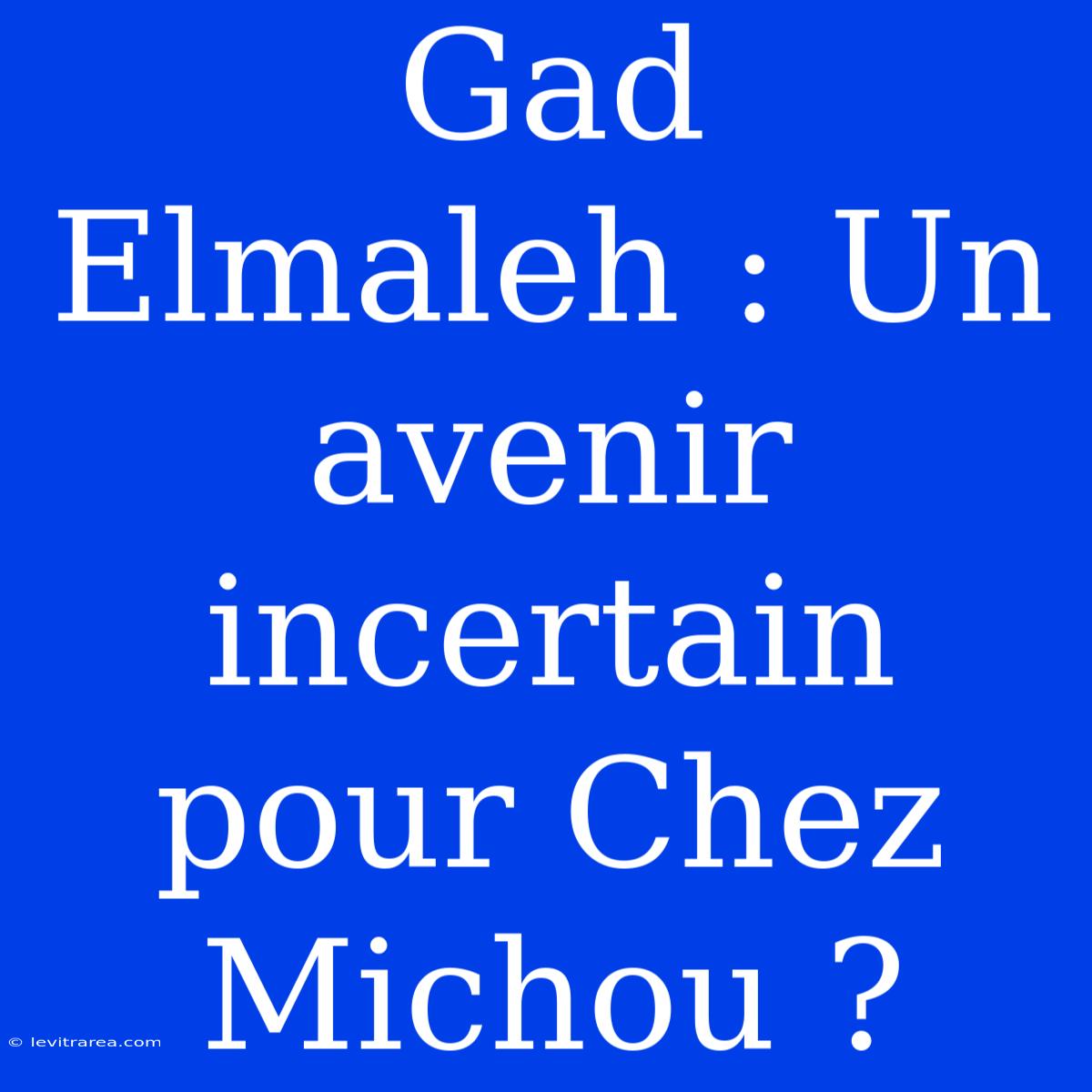 Gad Elmaleh : Un Avenir Incertain Pour Chez Michou ?