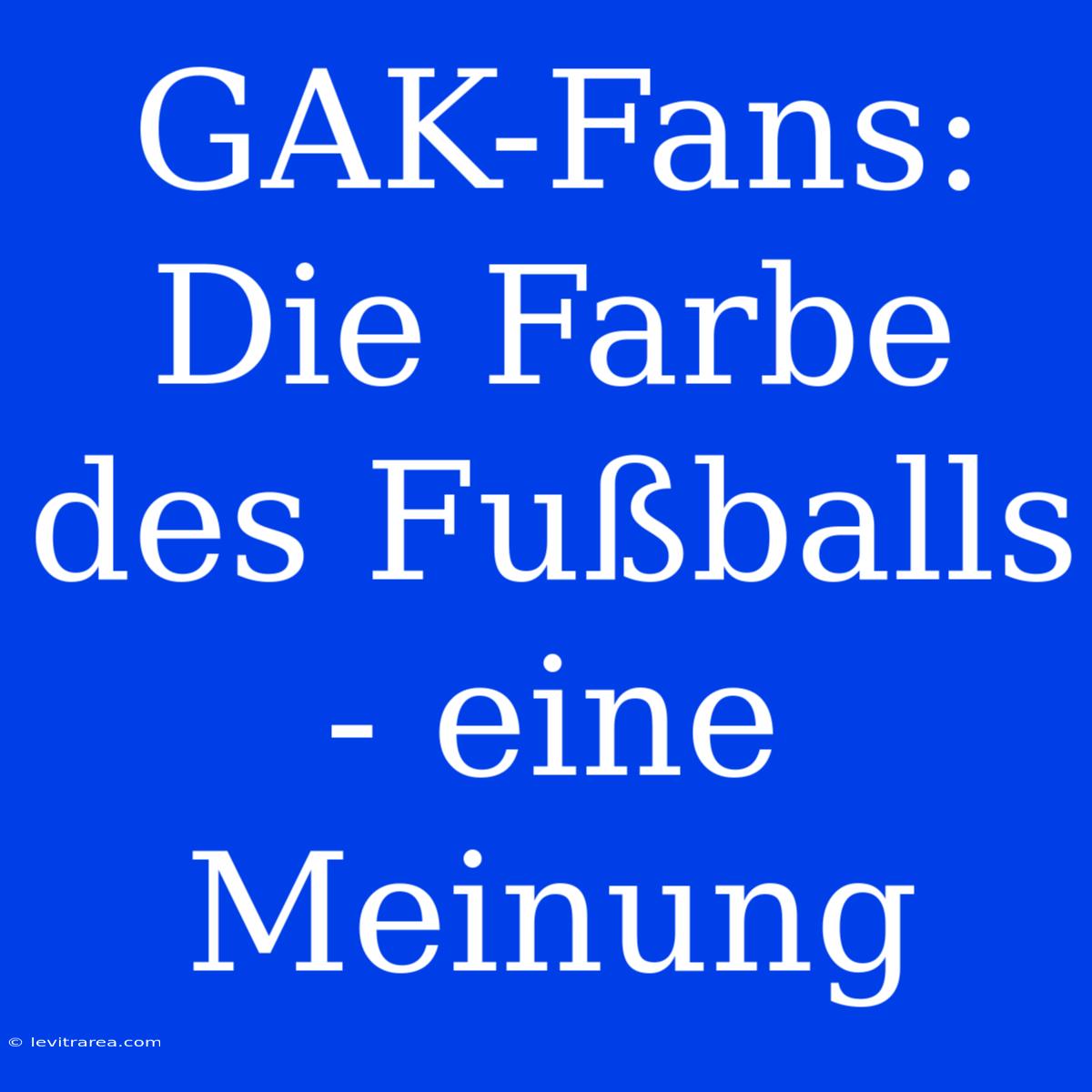 GAK-Fans: Die Farbe Des Fußballs - Eine Meinung