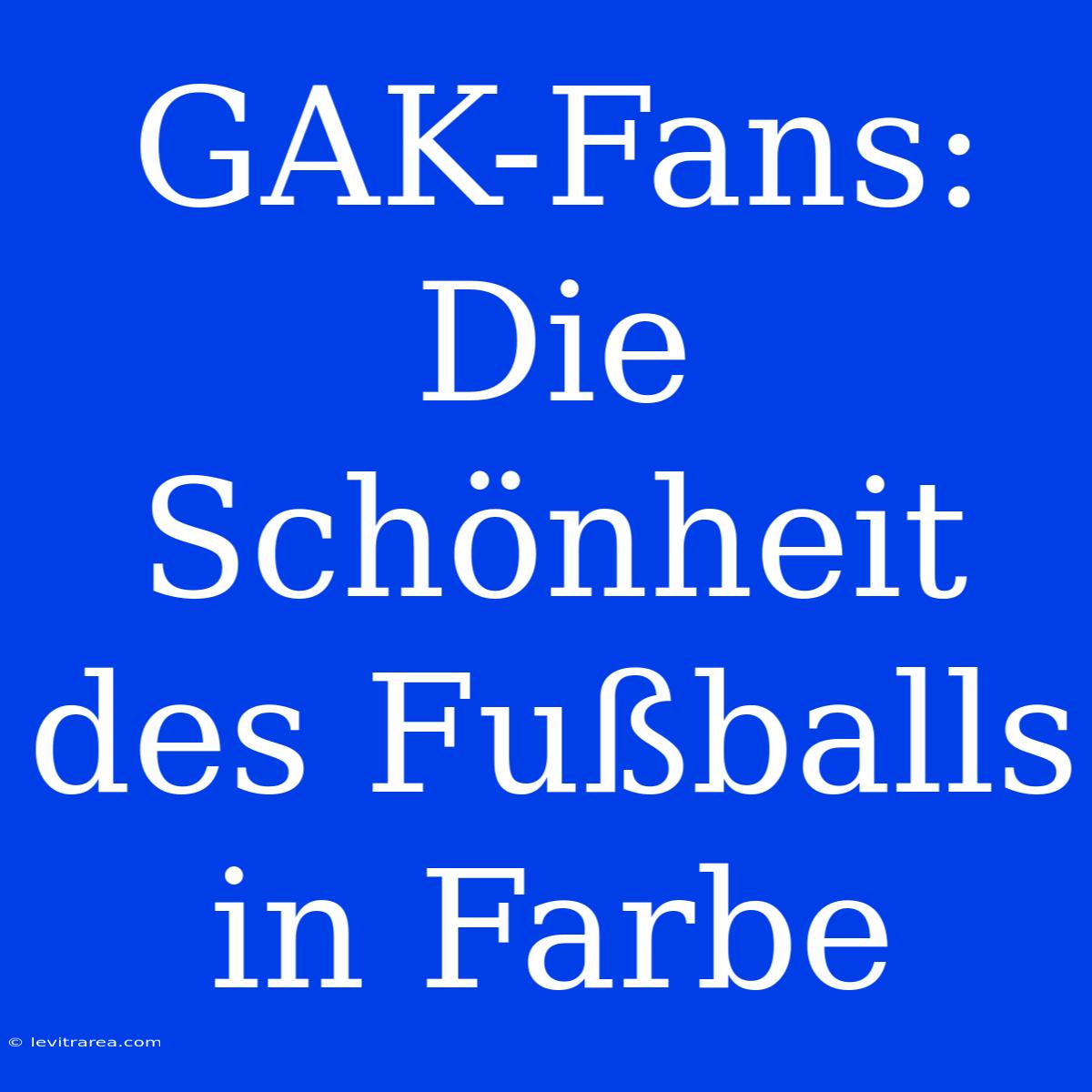 GAK-Fans: Die Schönheit Des Fußballs In Farbe