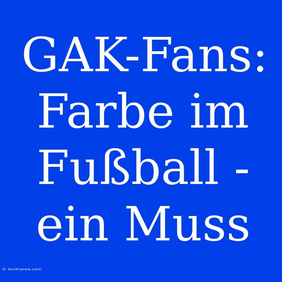 GAK-Fans: Farbe Im Fußball - Ein Muss 