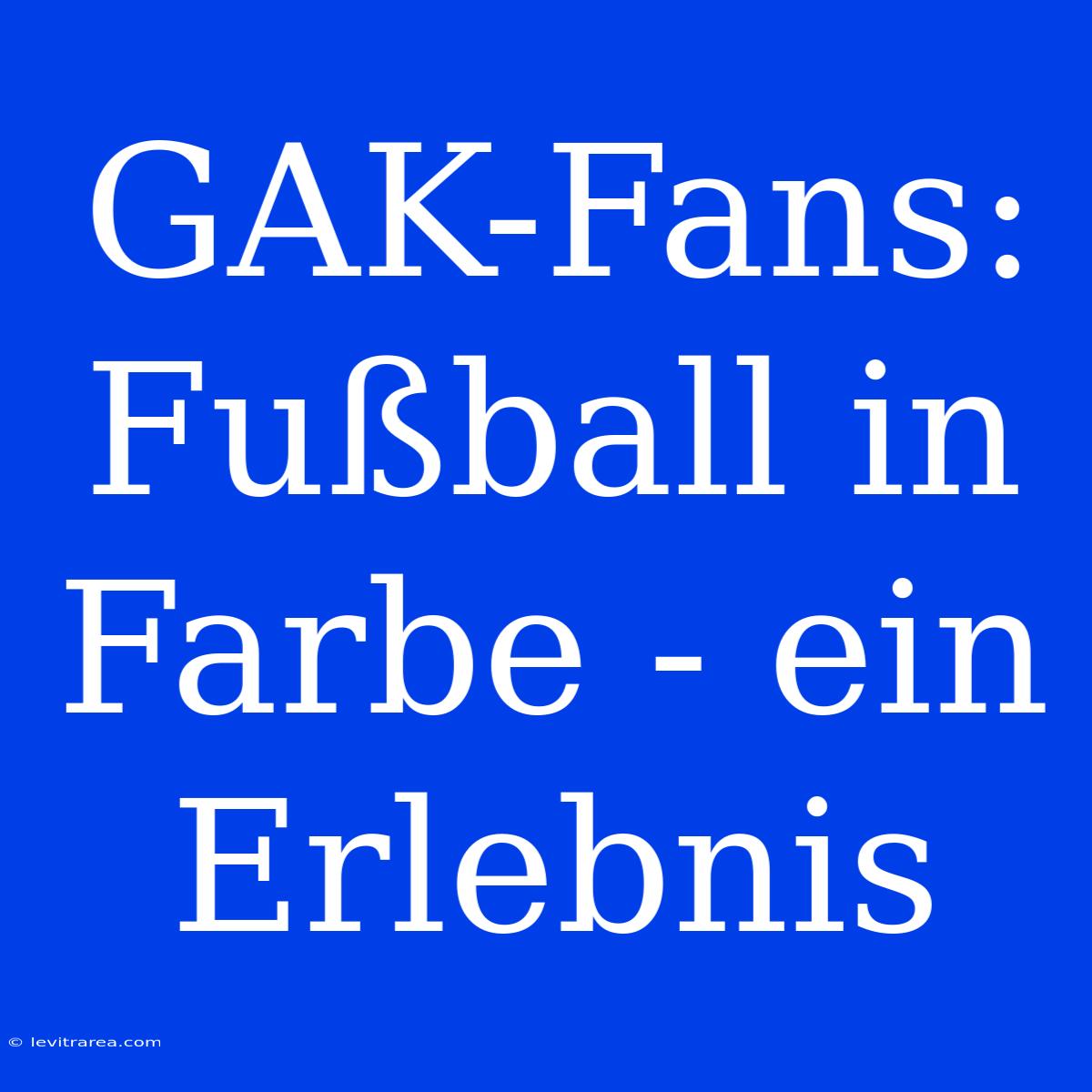 GAK-Fans: Fußball In Farbe - Ein Erlebnis