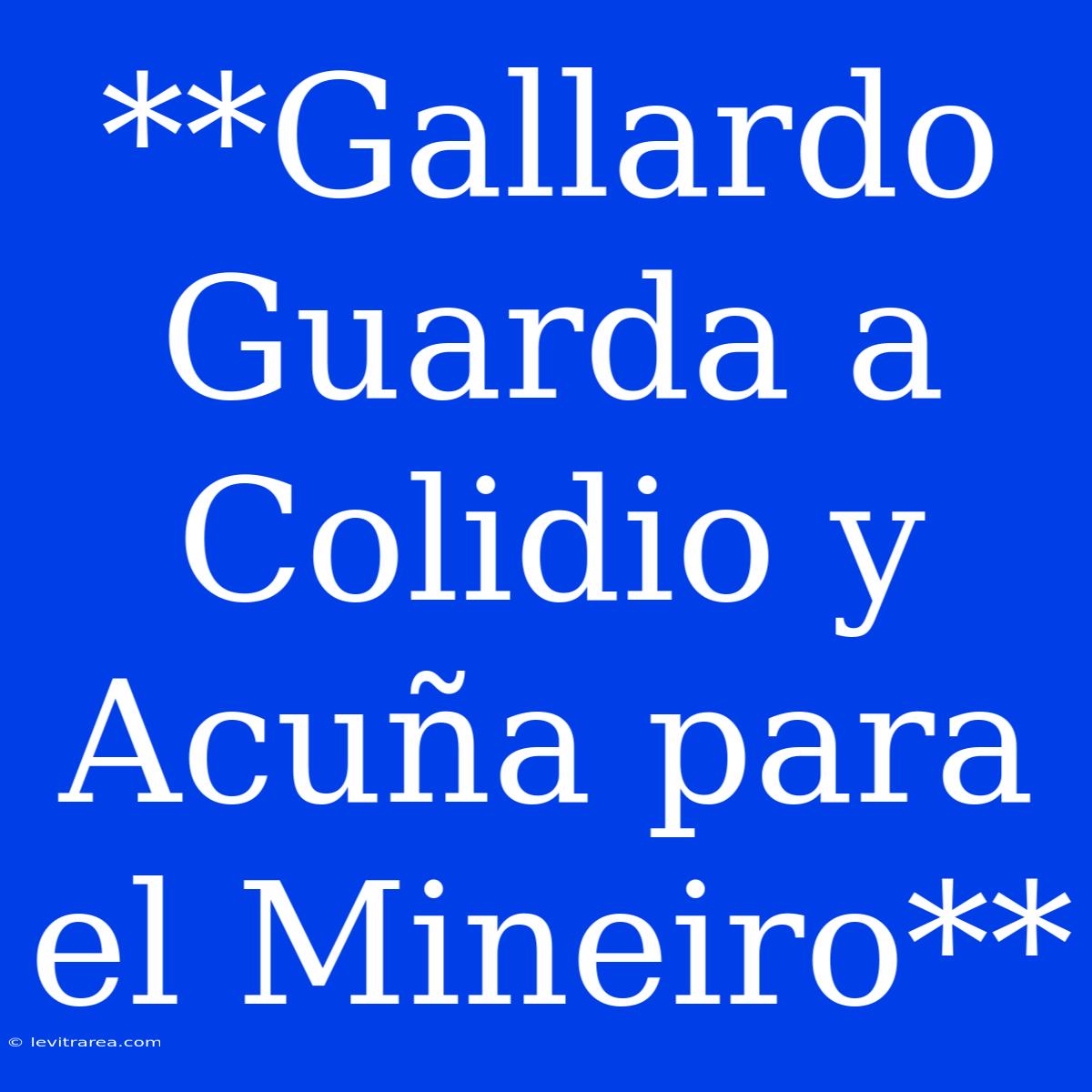 **Gallardo Guarda A Colidio Y Acuña Para El Mineiro**