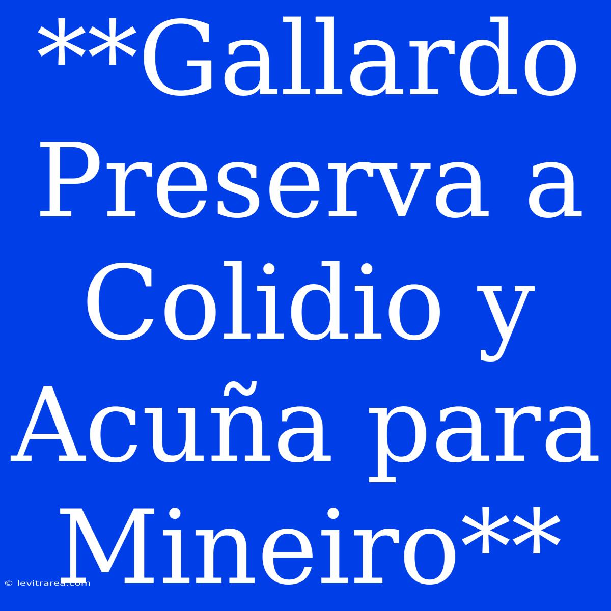 **Gallardo Preserva A Colidio Y Acuña Para Mineiro**