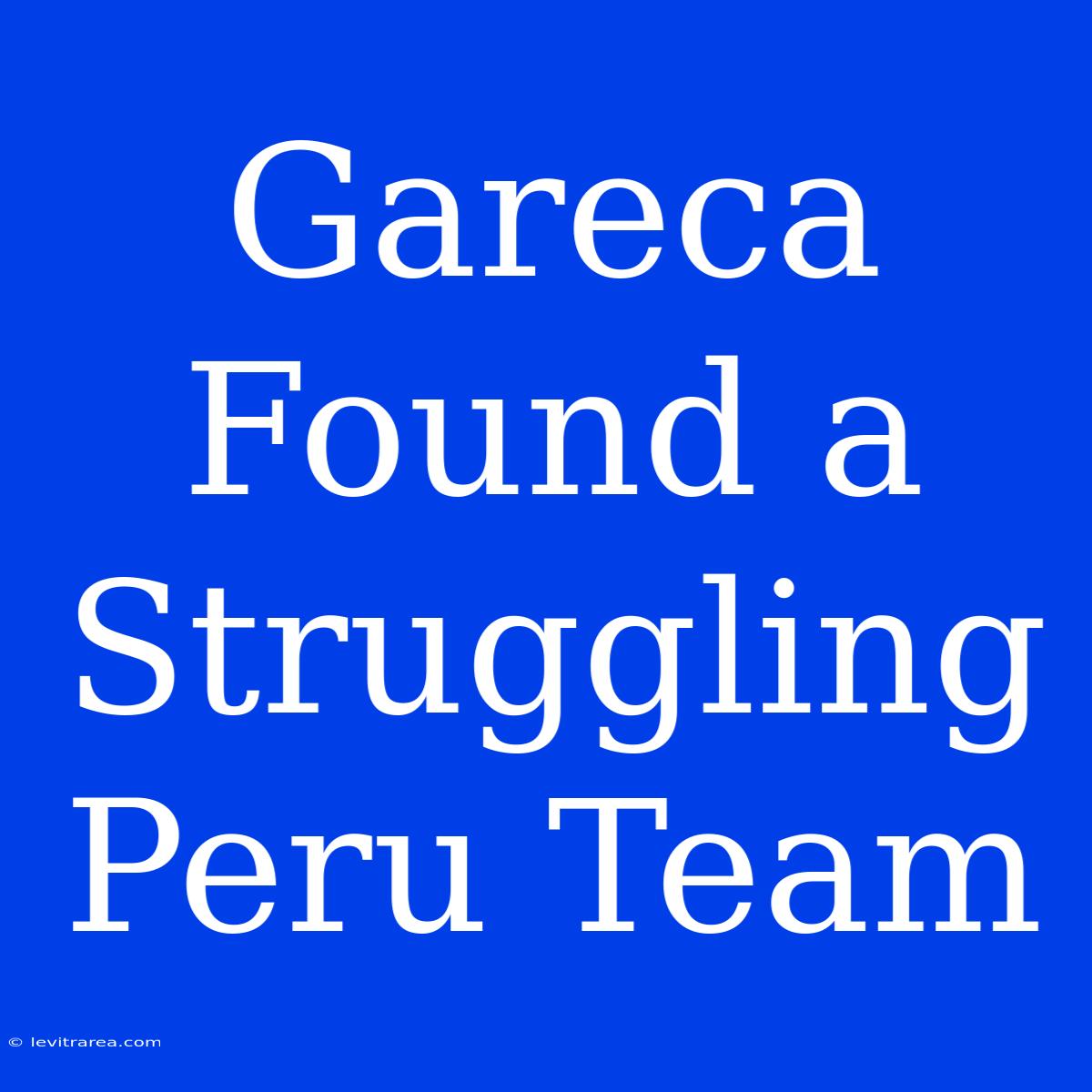 Gareca Found A Struggling Peru Team