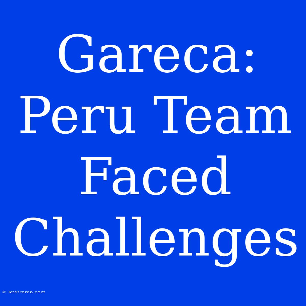 Gareca: Peru Team Faced Challenges