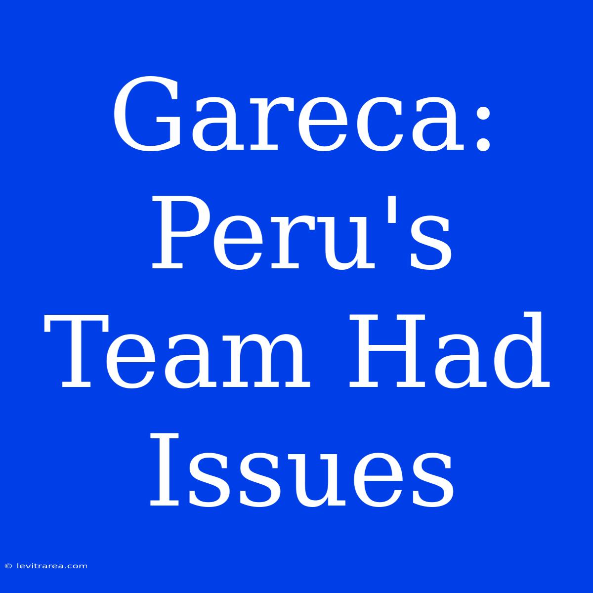 Gareca: Peru's Team Had Issues