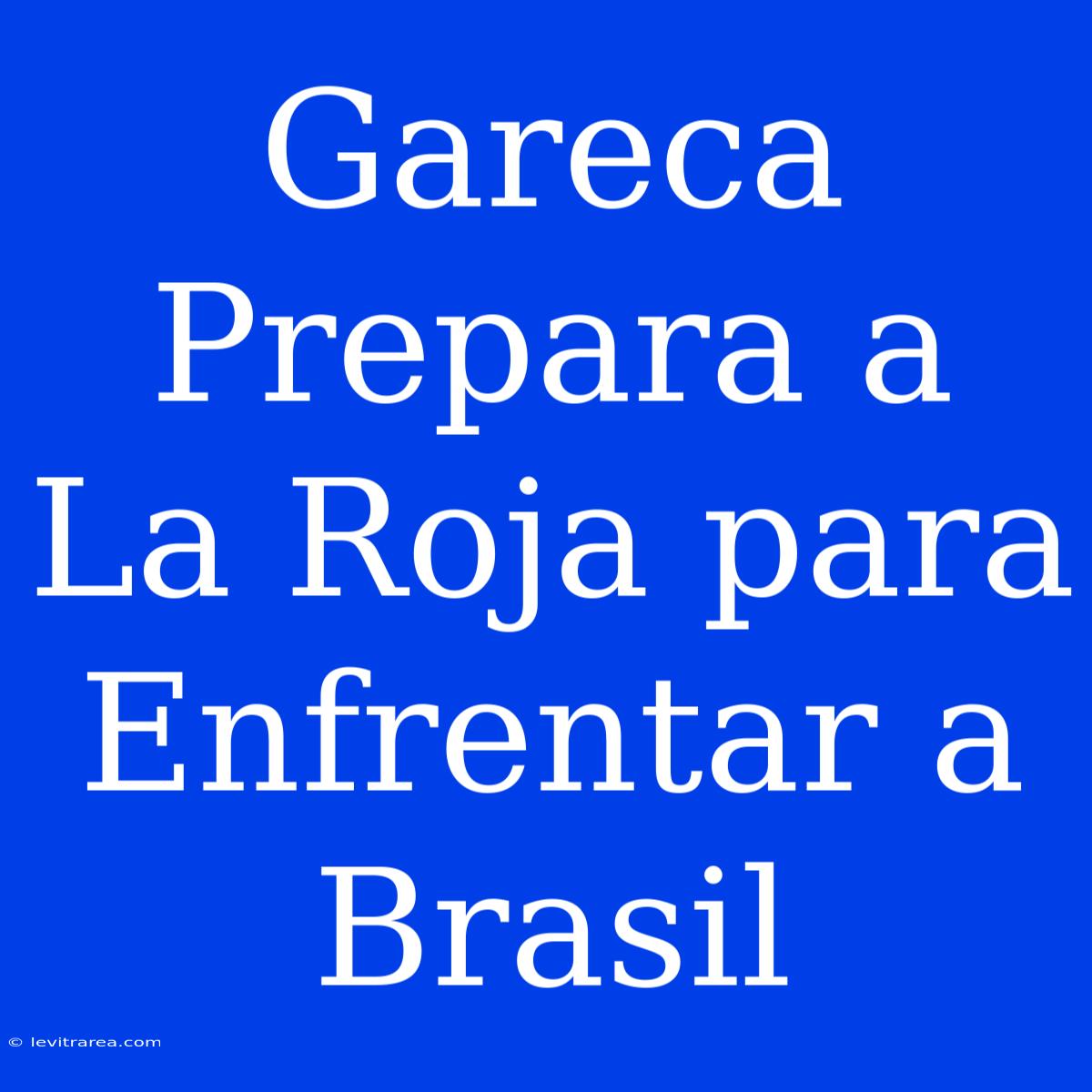 Gareca Prepara A La Roja Para Enfrentar A Brasil