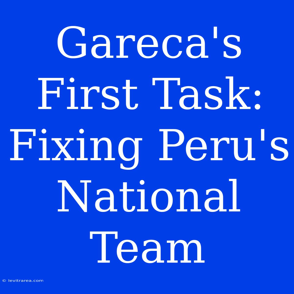 Gareca's First Task: Fixing Peru's National Team