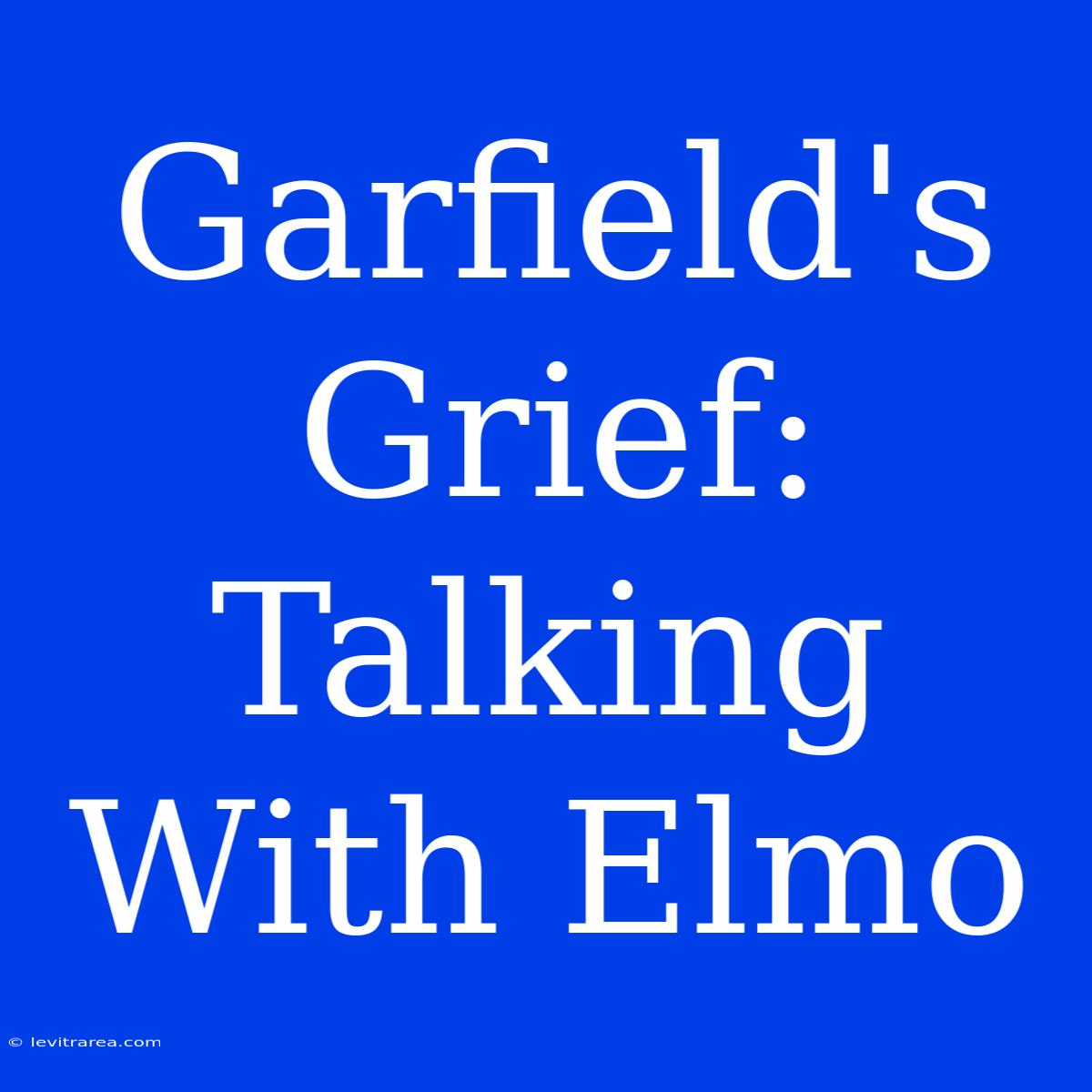 Garfield's Grief: Talking With Elmo