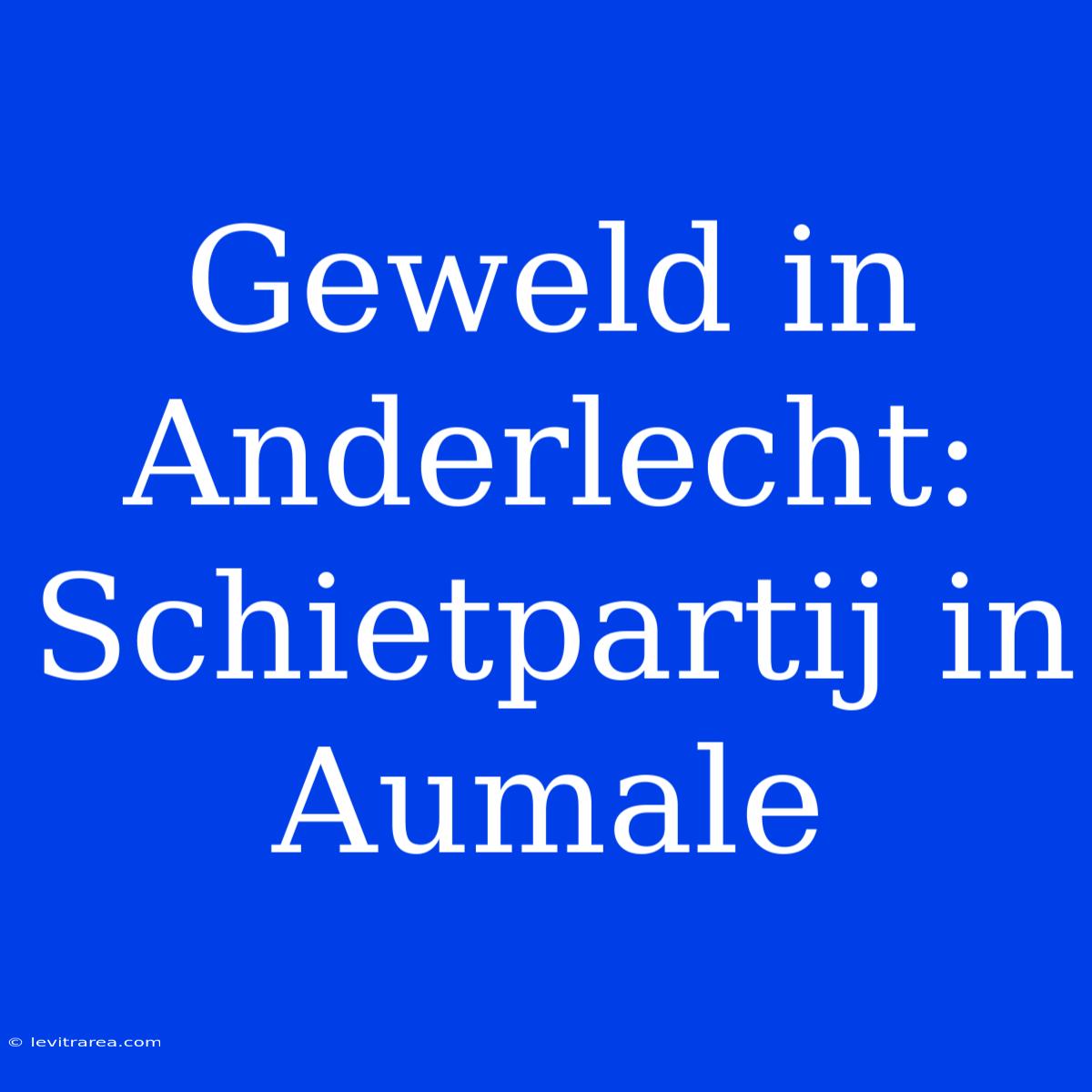 Geweld In Anderlecht: Schietpartij In Aumale