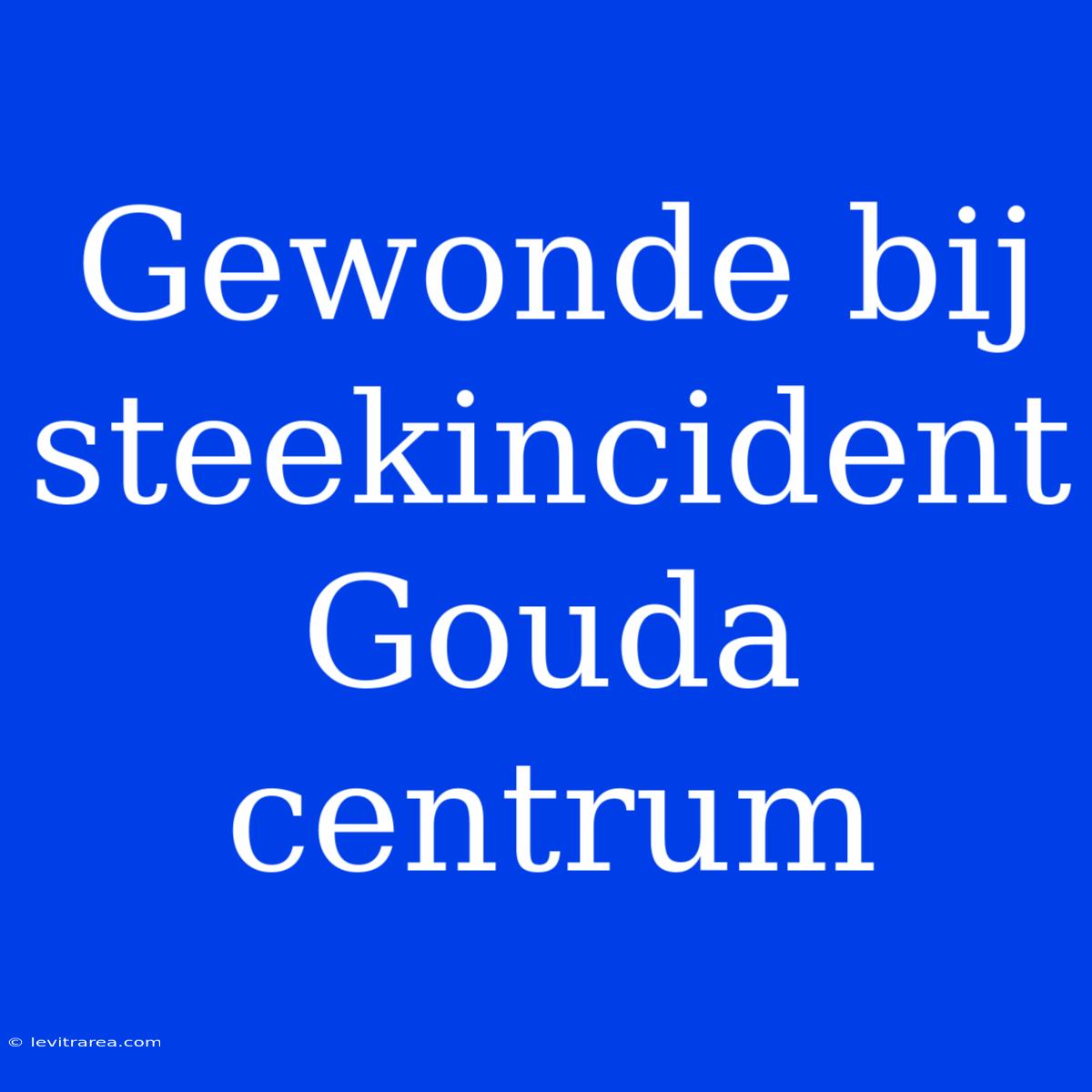 Gewonde Bij Steekincident Gouda Centrum