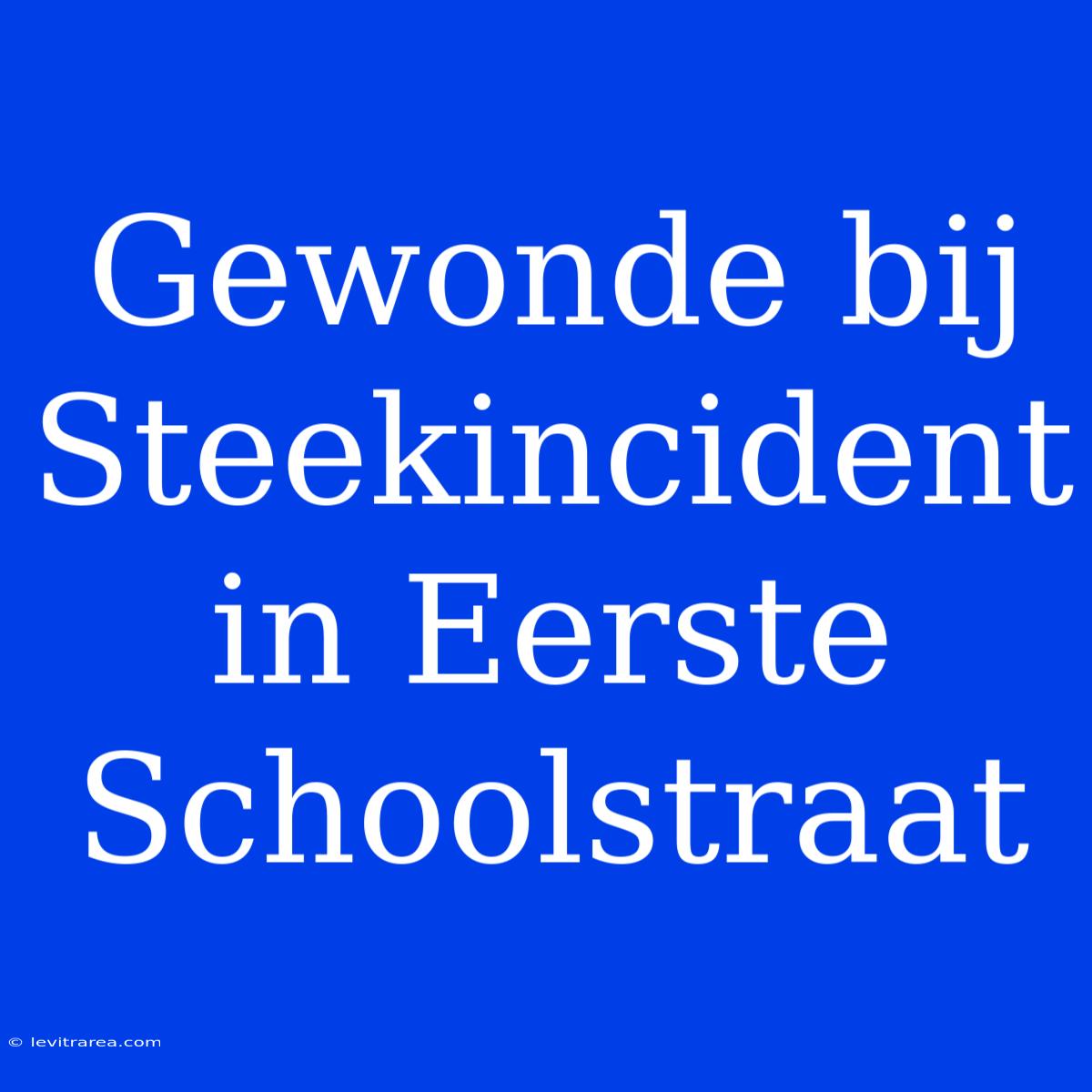 Gewonde Bij Steekincident In Eerste Schoolstraat