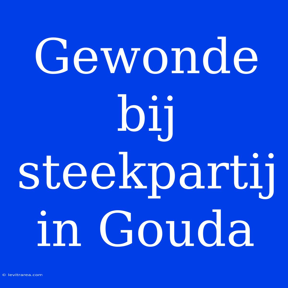 Gewonde Bij Steekpartij In Gouda