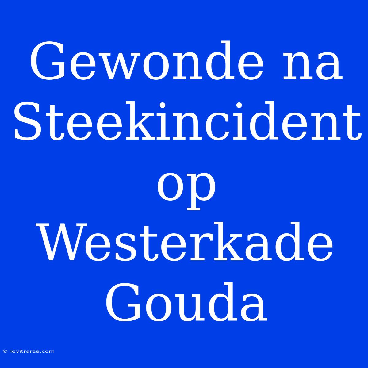 Gewonde Na Steekincident Op Westerkade Gouda