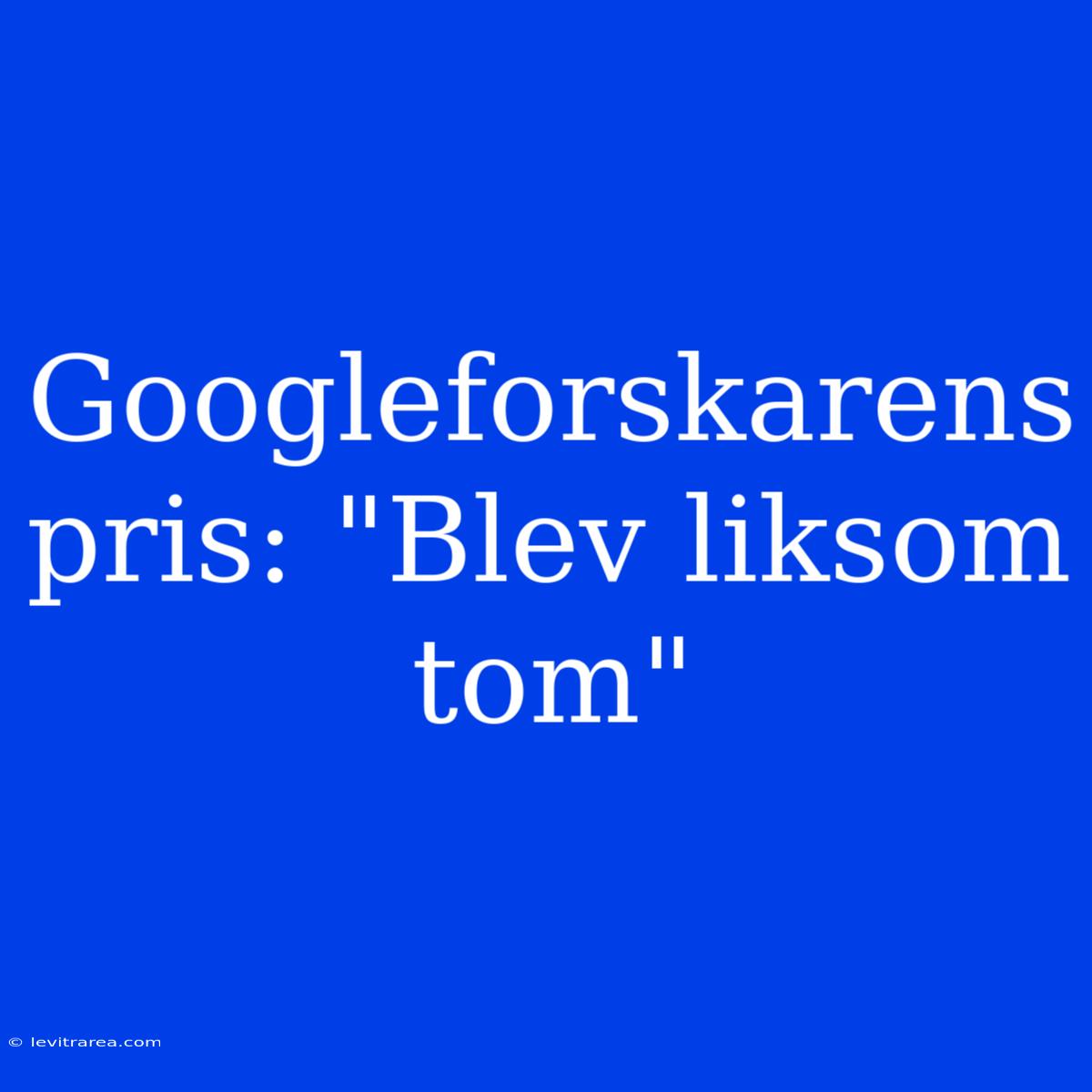 Googleforskarens Pris: 