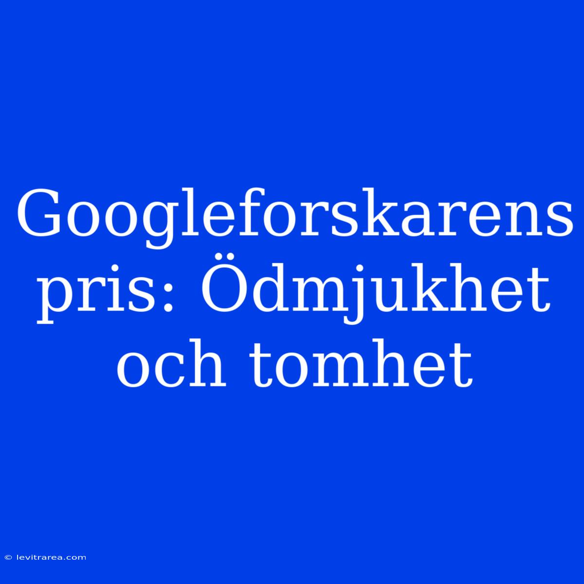 Googleforskarens Pris: Ödmjukhet Och Tomhet