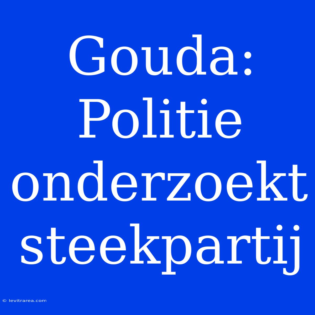 Gouda: Politie Onderzoekt Steekpartij 