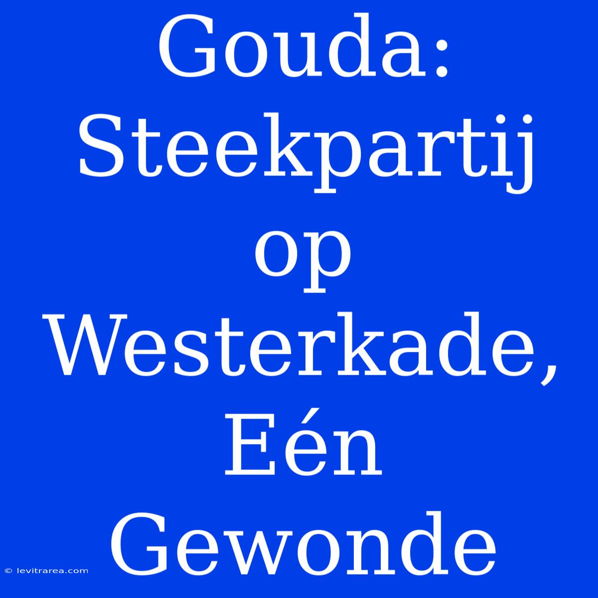 Gouda: Steekpartij Op Westerkade, Eén Gewonde