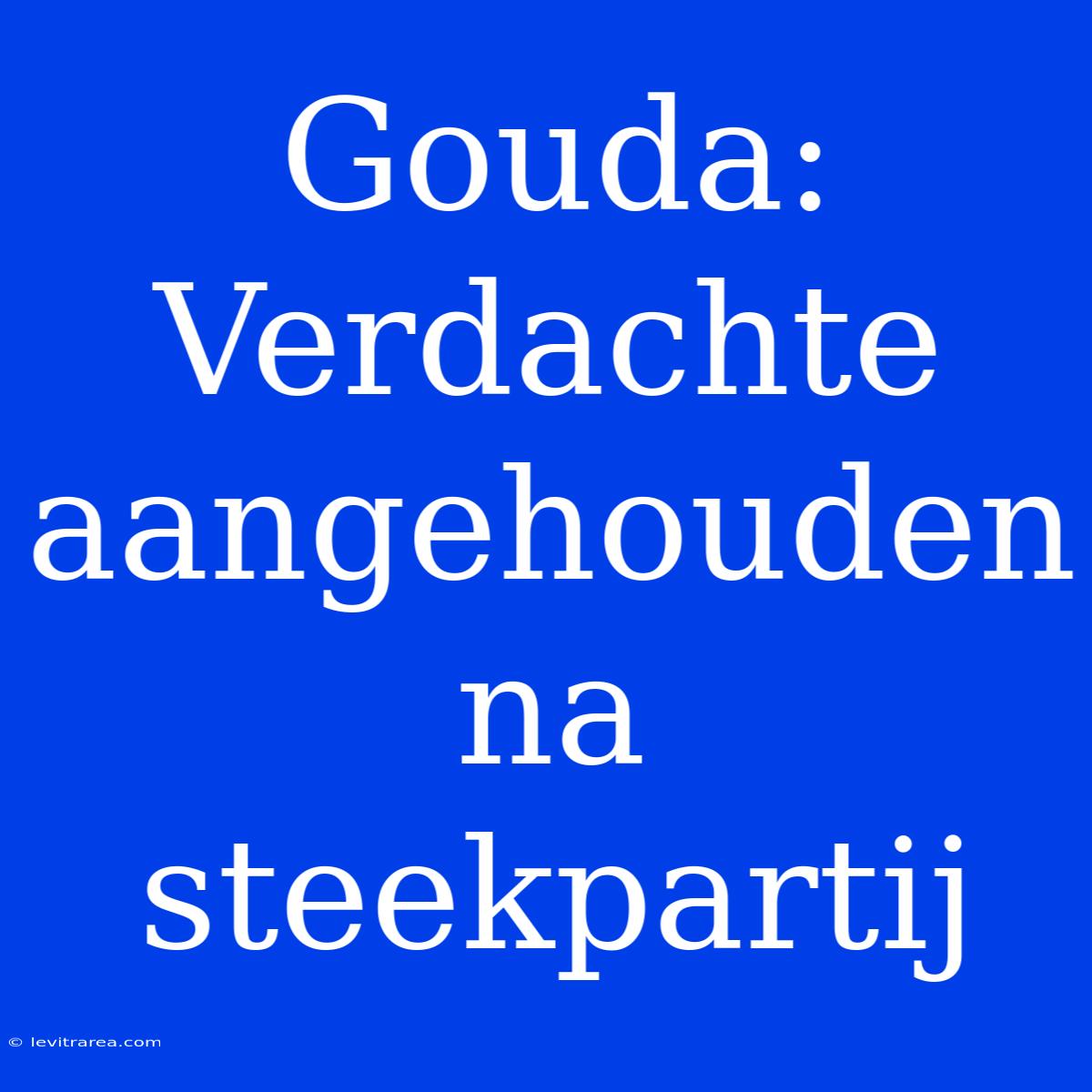 Gouda: Verdachte Aangehouden Na Steekpartij 