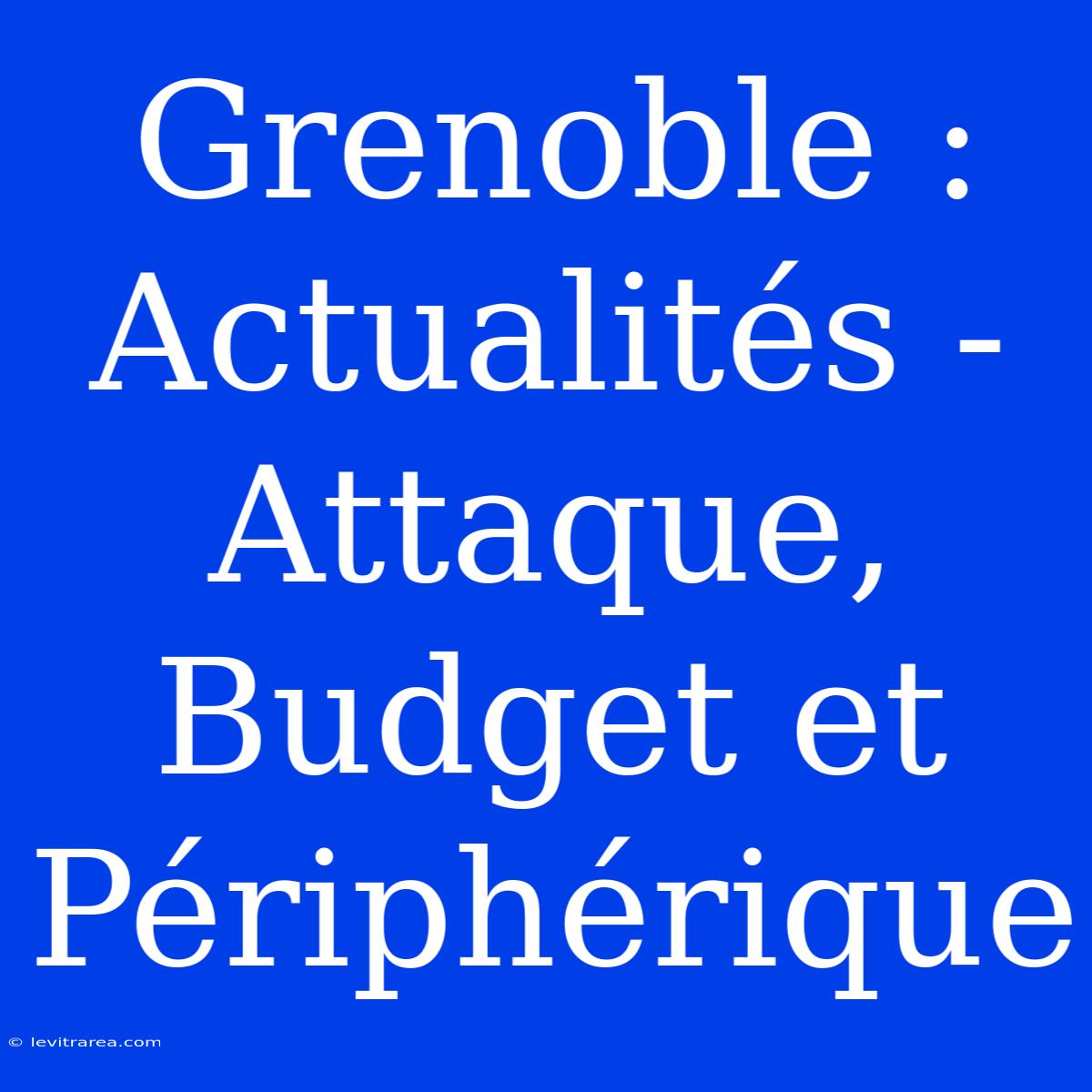 Grenoble : Actualités - Attaque, Budget Et Périphérique 