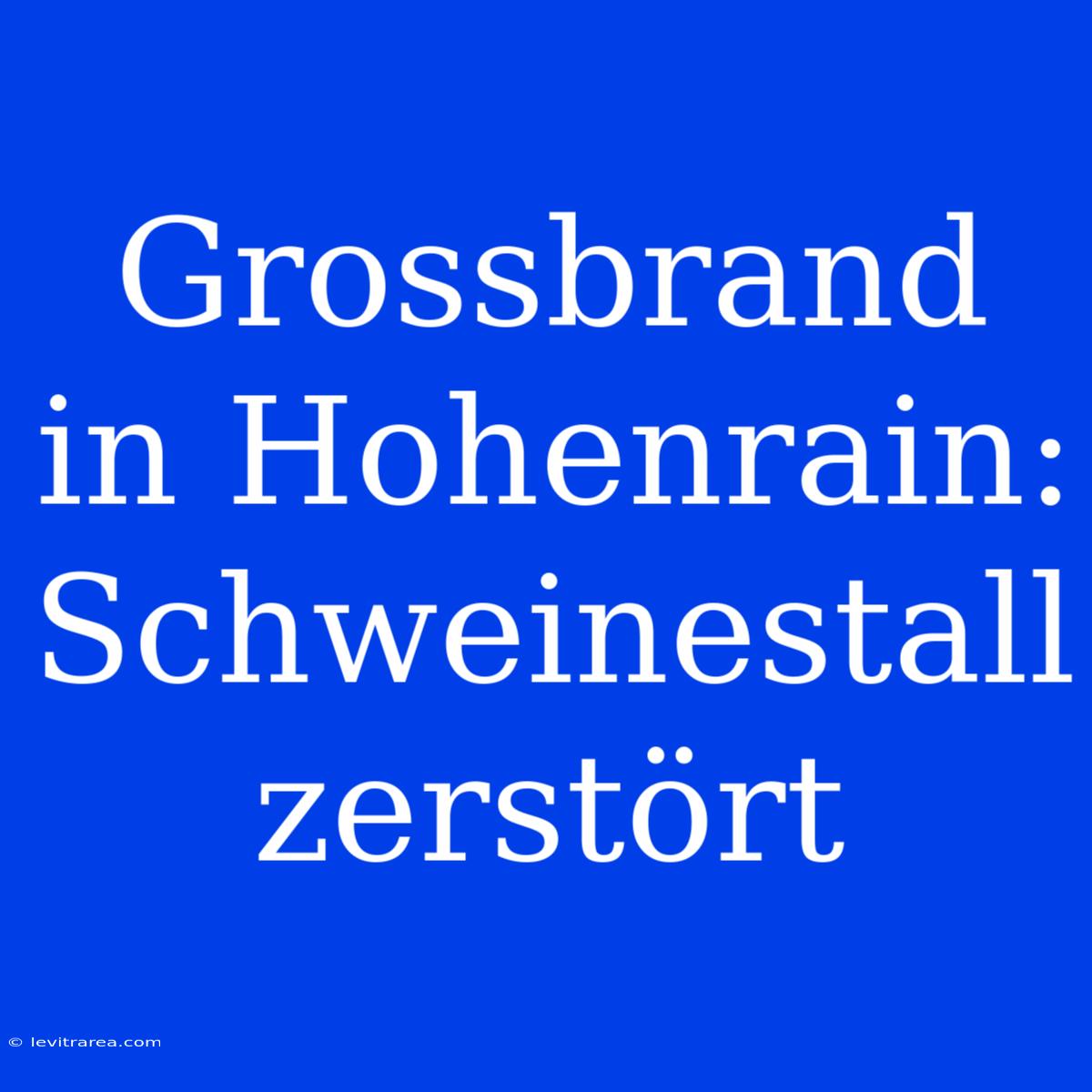 Grossbrand In Hohenrain: Schweinestall Zerstört