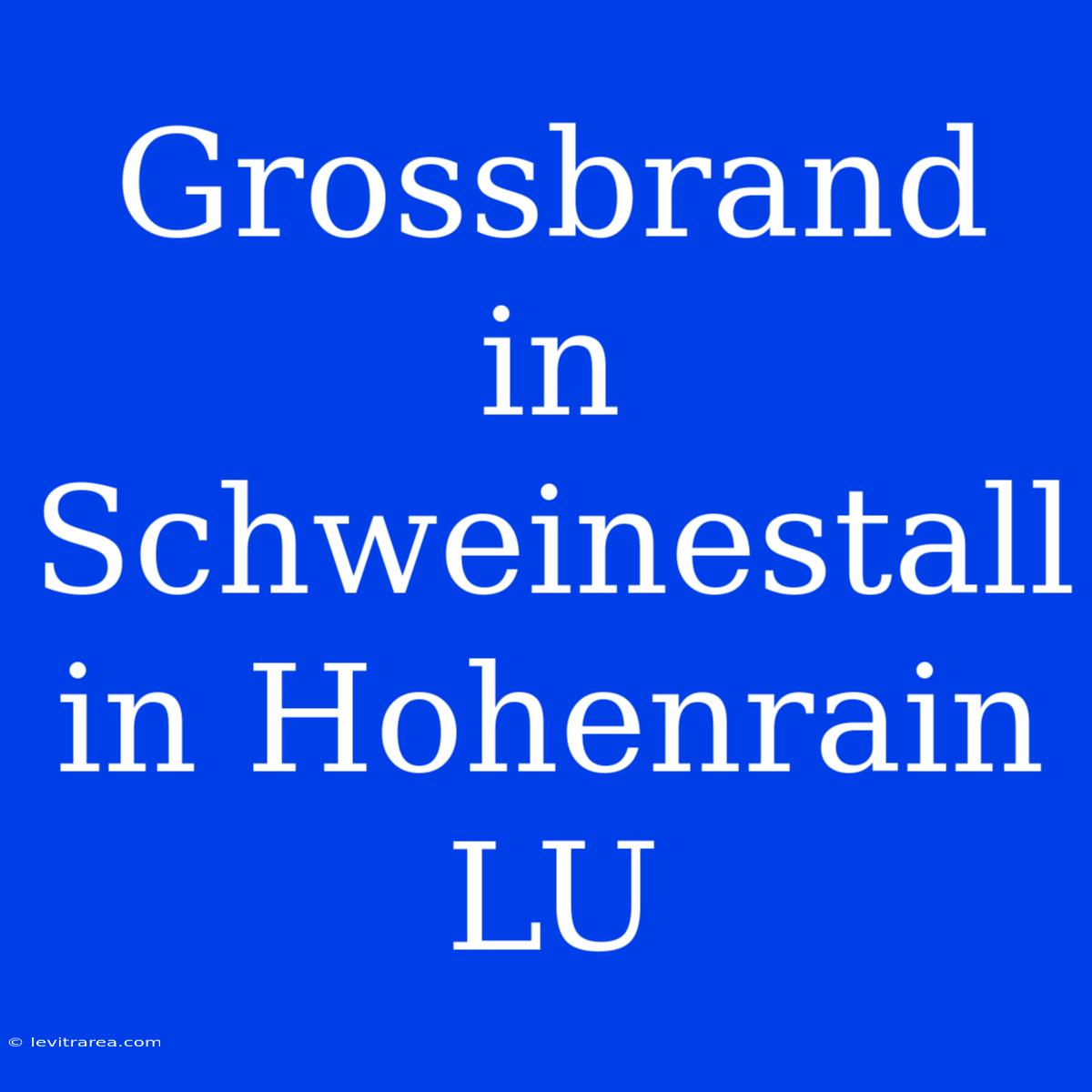 Grossbrand In Schweinestall In Hohenrain LU