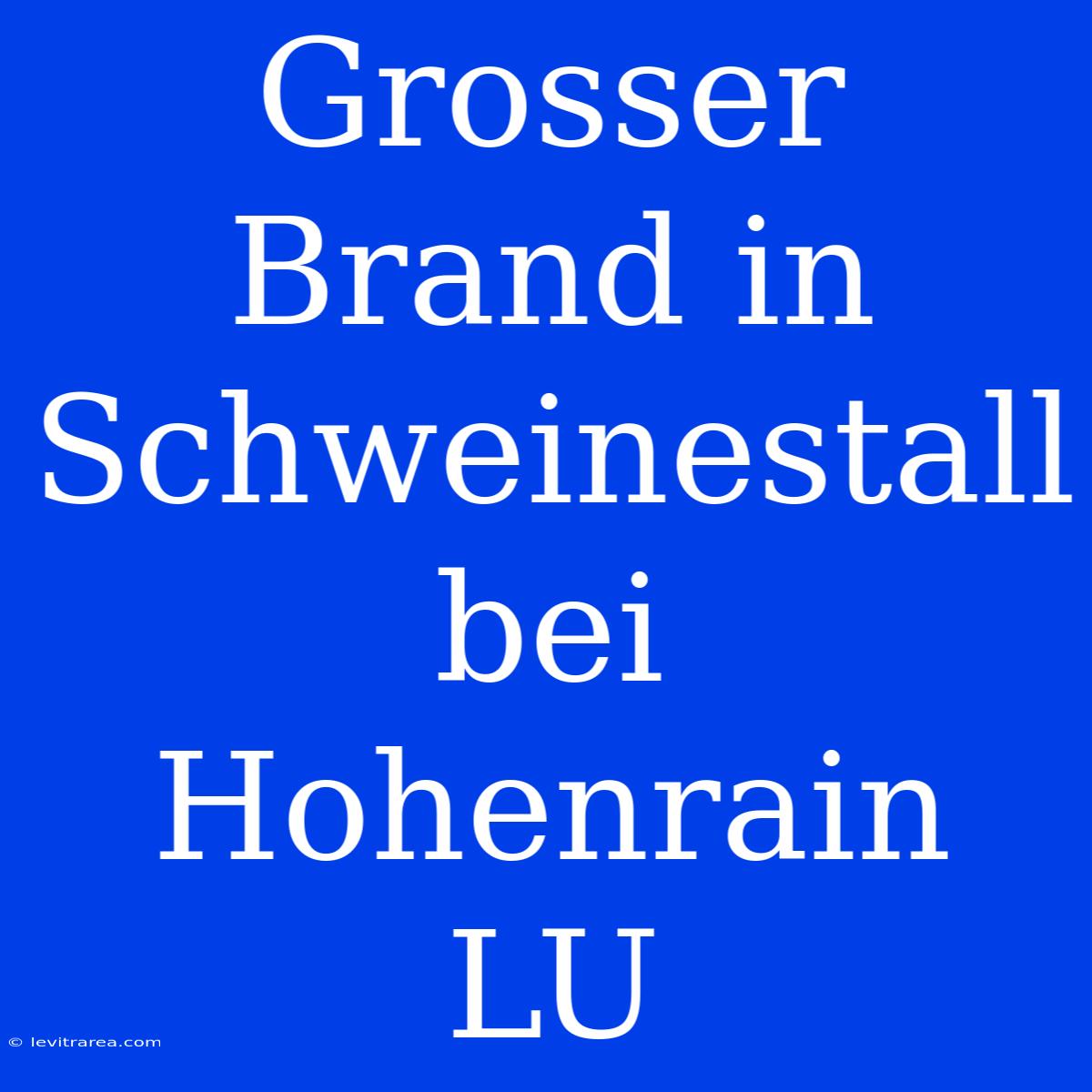 Grosser Brand In Schweinestall Bei Hohenrain LU