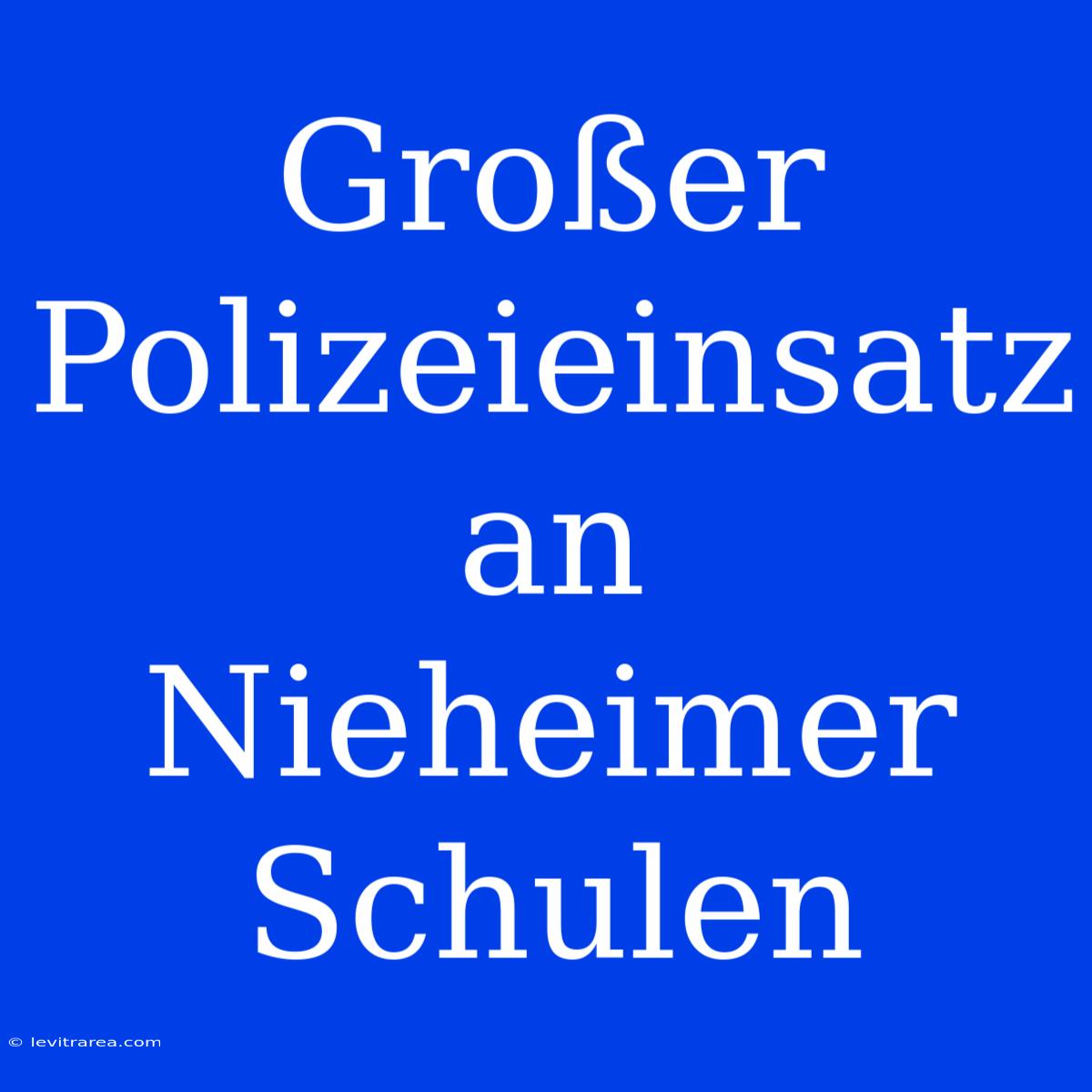 Großer Polizeieinsatz An Nieheimer Schulen