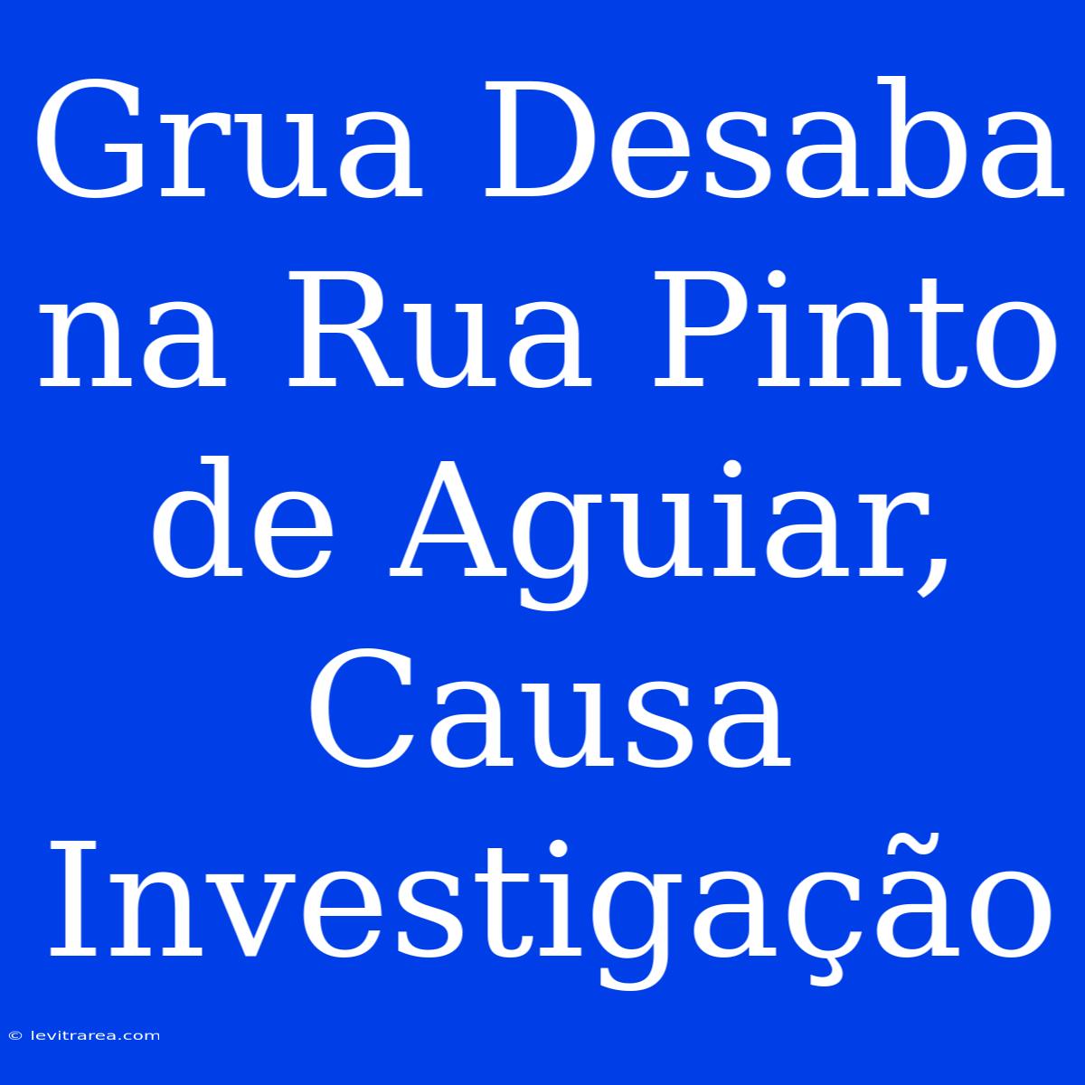 Grua Desaba Na Rua Pinto De Aguiar, Causa Investigação