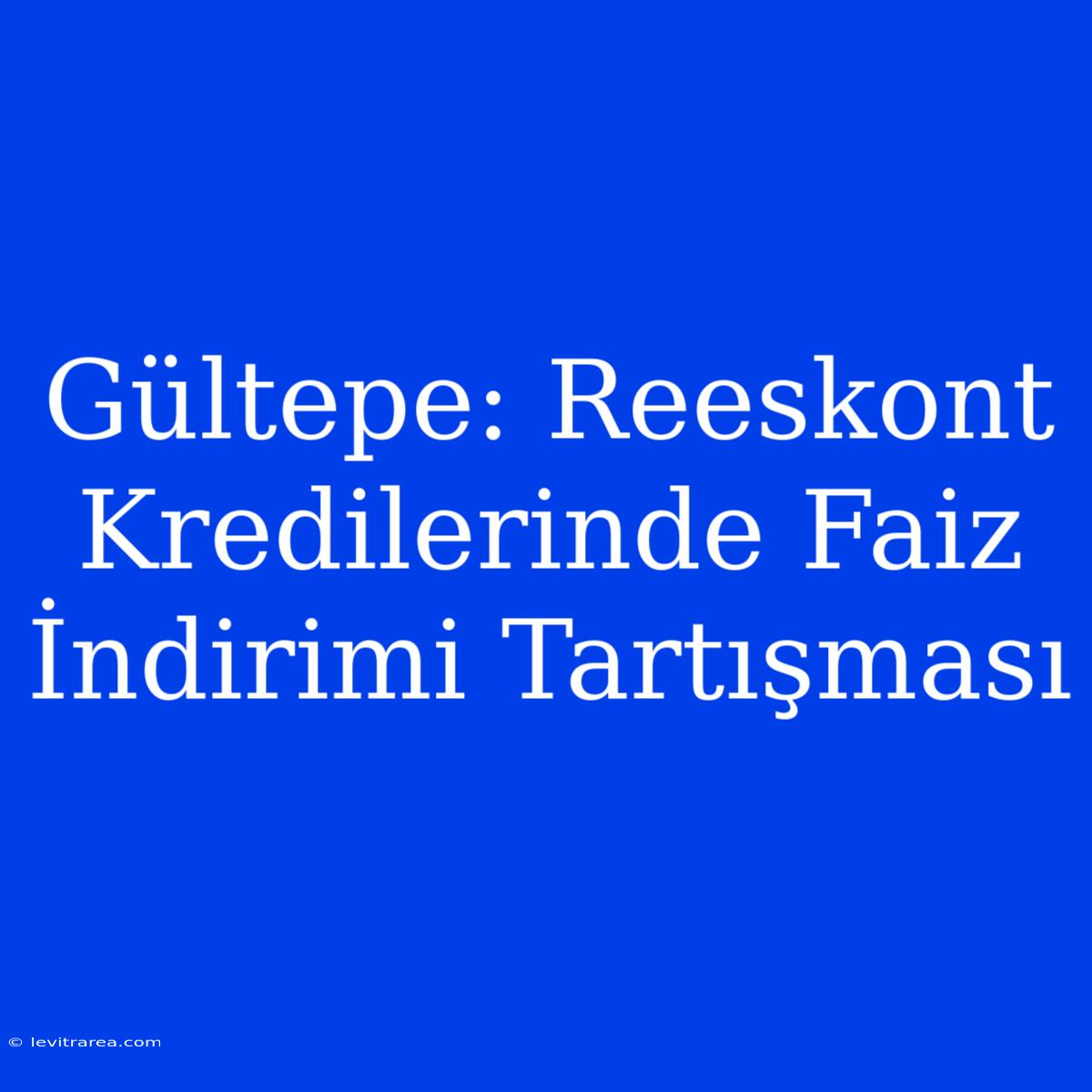 Gültepe: Reeskont Kredilerinde Faiz İndirimi Tartışması