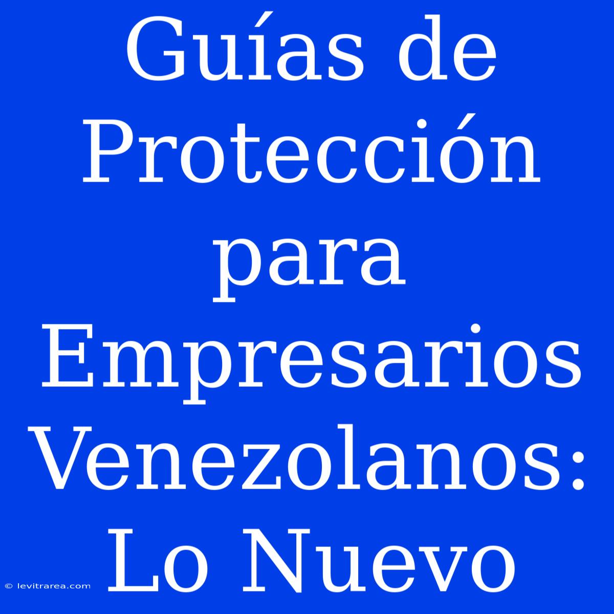 Guías De Protección Para Empresarios Venezolanos: Lo Nuevo