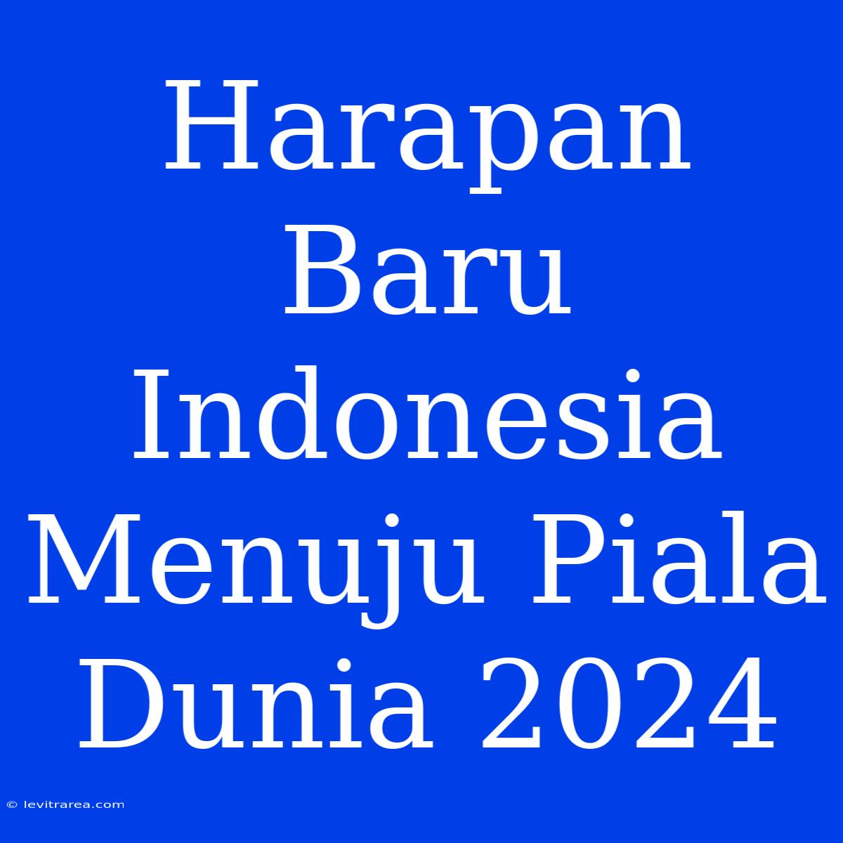 Harapan Baru Indonesia Menuju Piala Dunia 2024