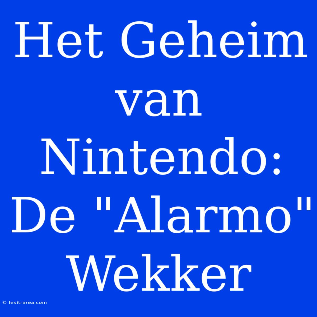 Het Geheim Van Nintendo: De 