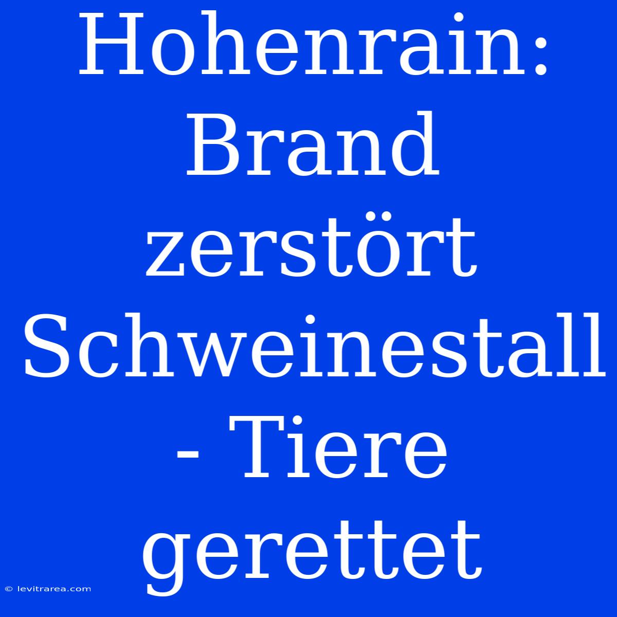 Hohenrain: Brand Zerstört Schweinestall - Tiere Gerettet