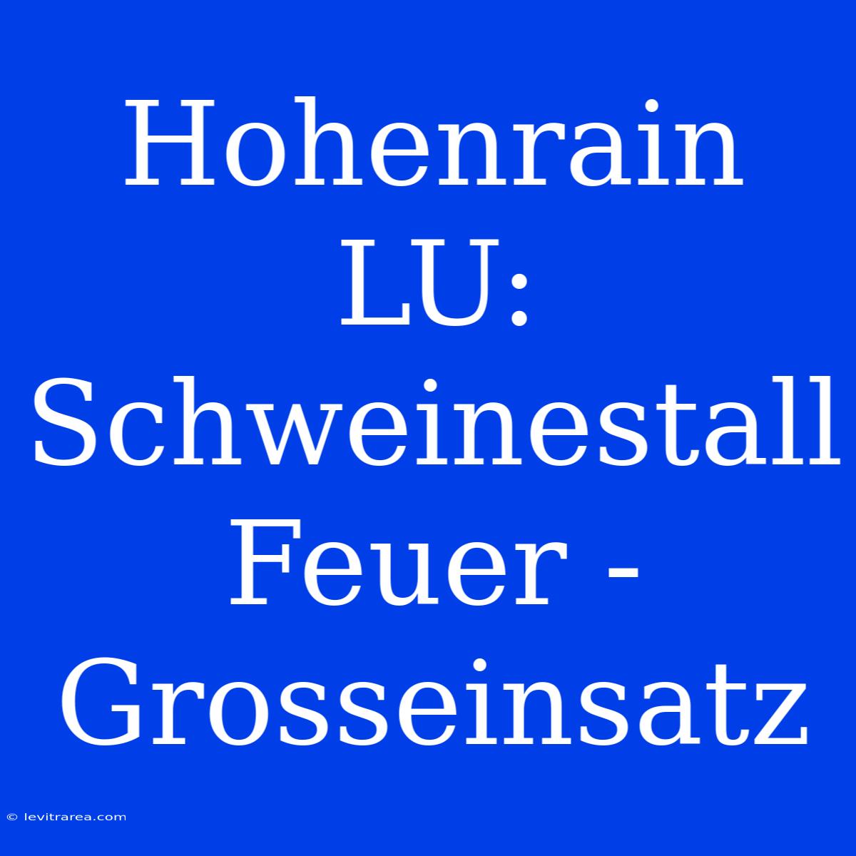 Hohenrain LU: Schweinestall Feuer - Grosseinsatz